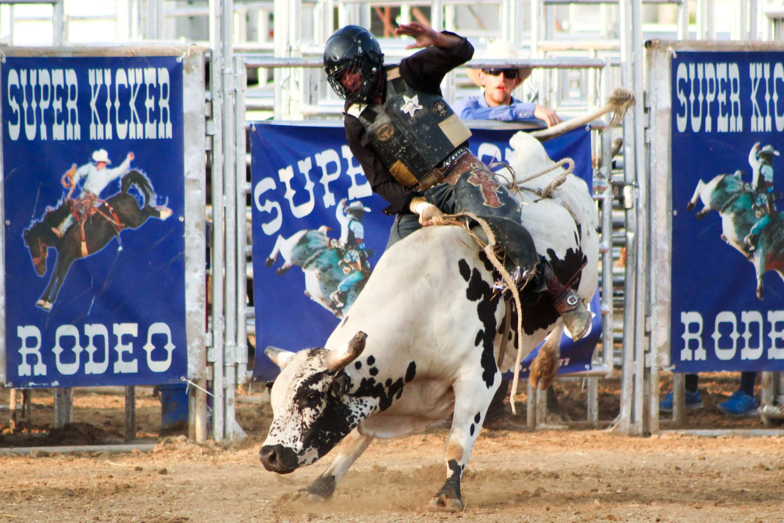 A rodeo cowboy riding a bucking black and white cow in an arena with metal fences and banners that read 'Super Kicker Rodeo.'