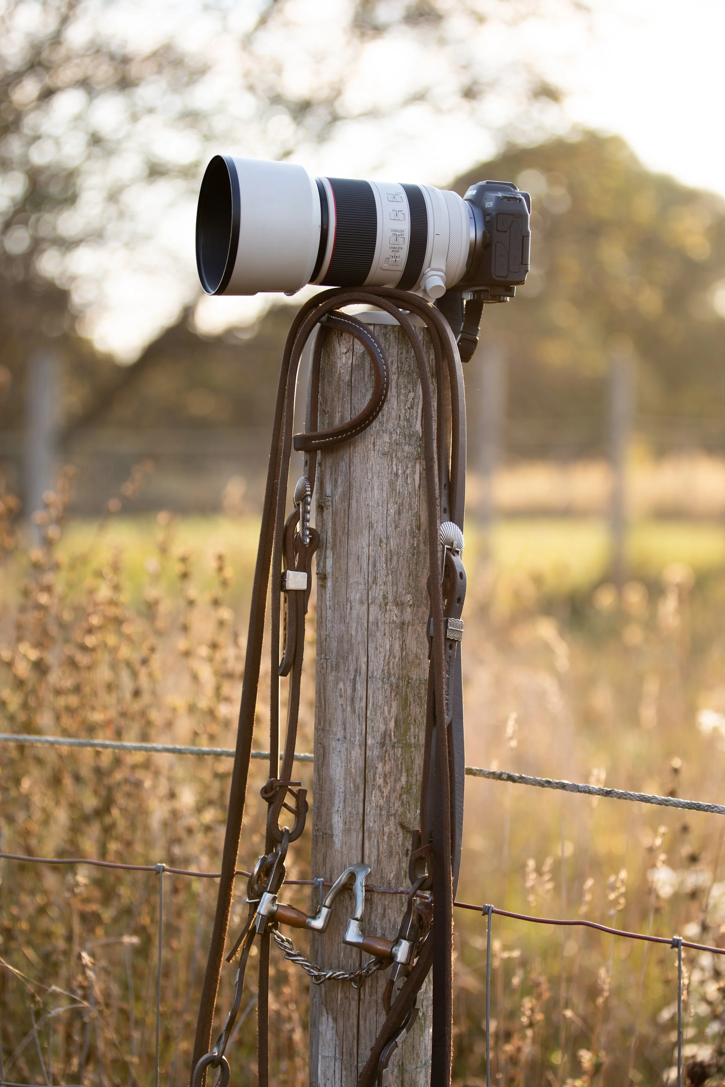 A camera with a long telephoto lens on a wooden post with a western bridle hanging, outdoors during sunset.