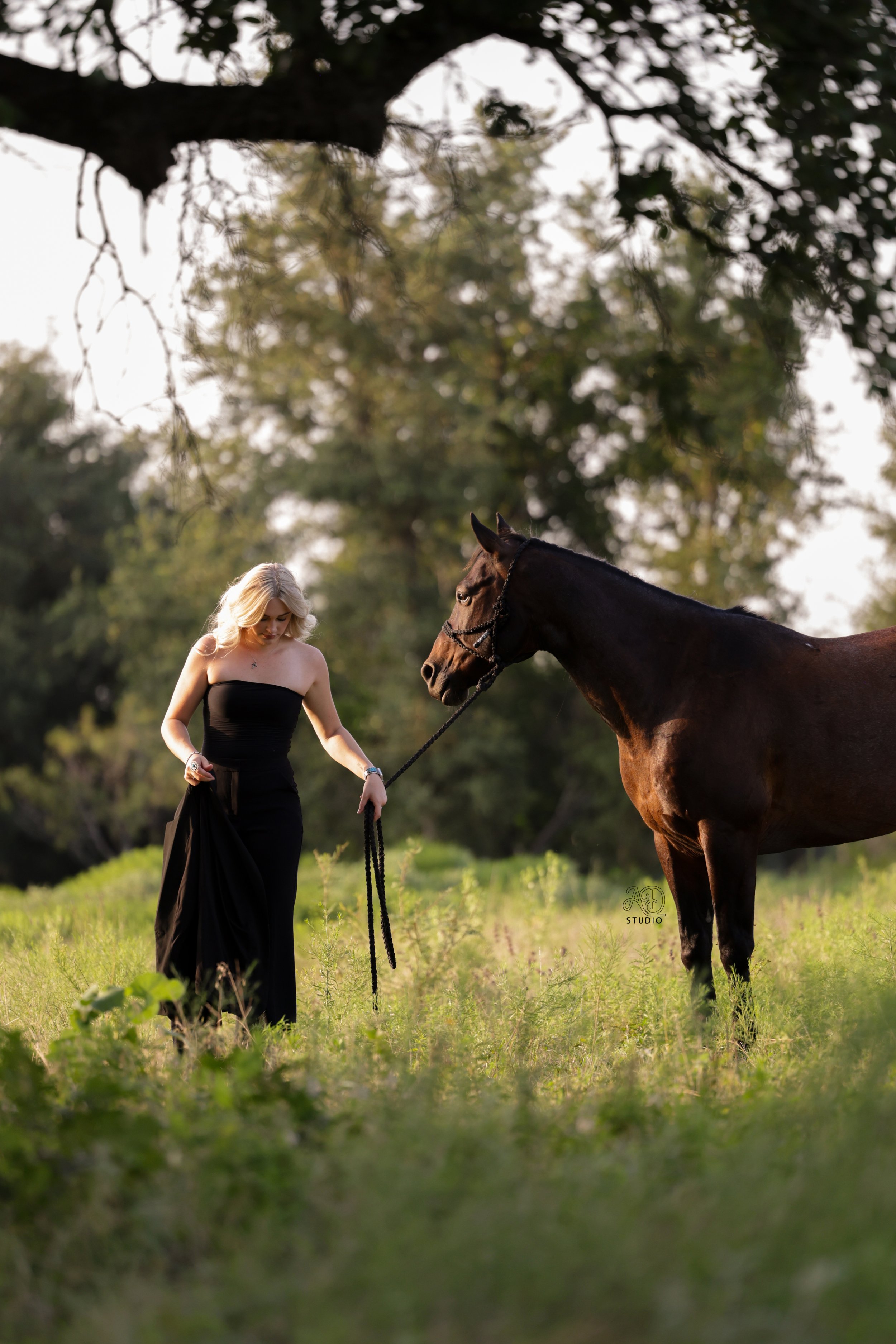A woman in a strapless black dress holding a lead rope stands next to a brown horse in a grassy field with trees in the background during daytime.