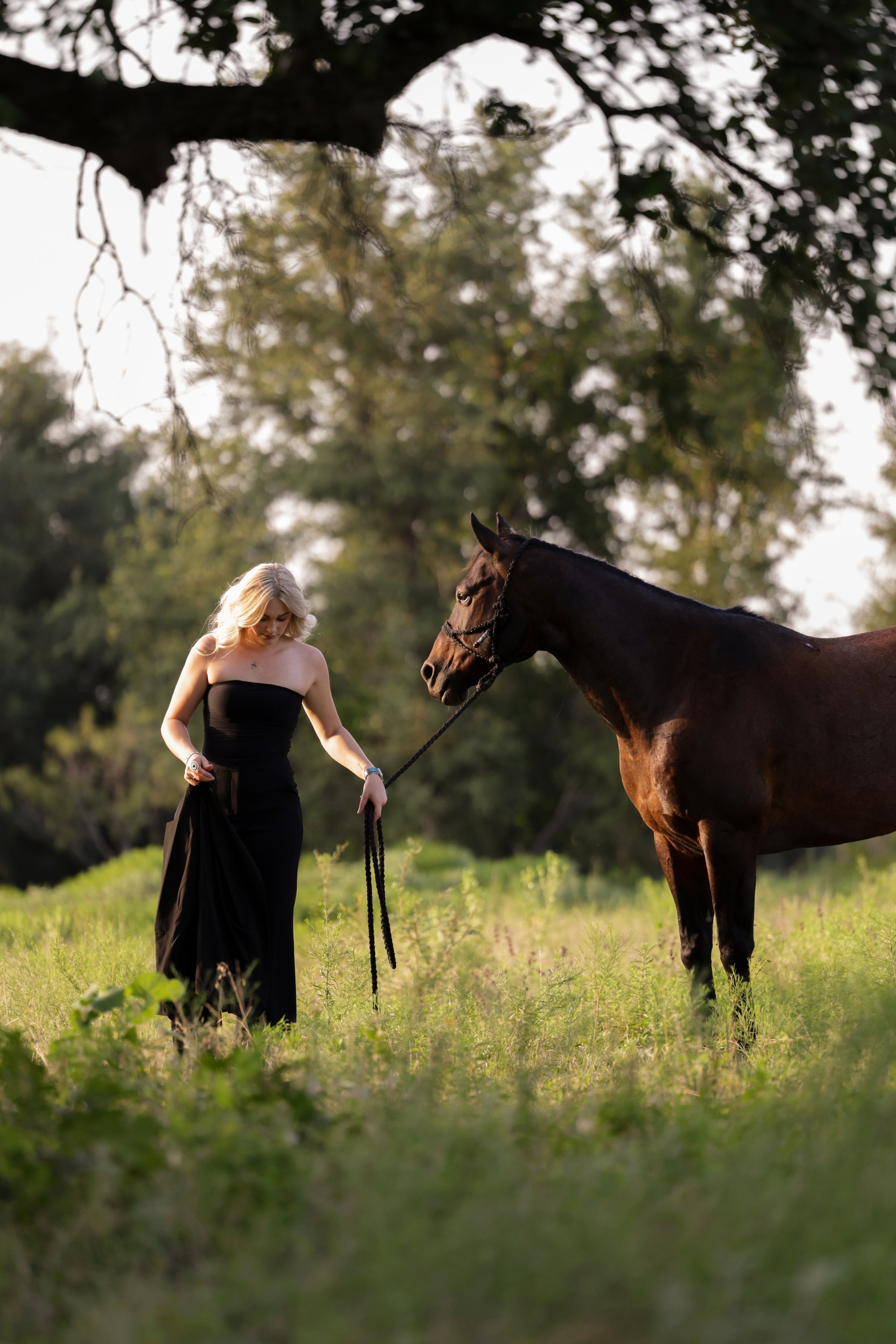 BuckingHorses-8.jpg