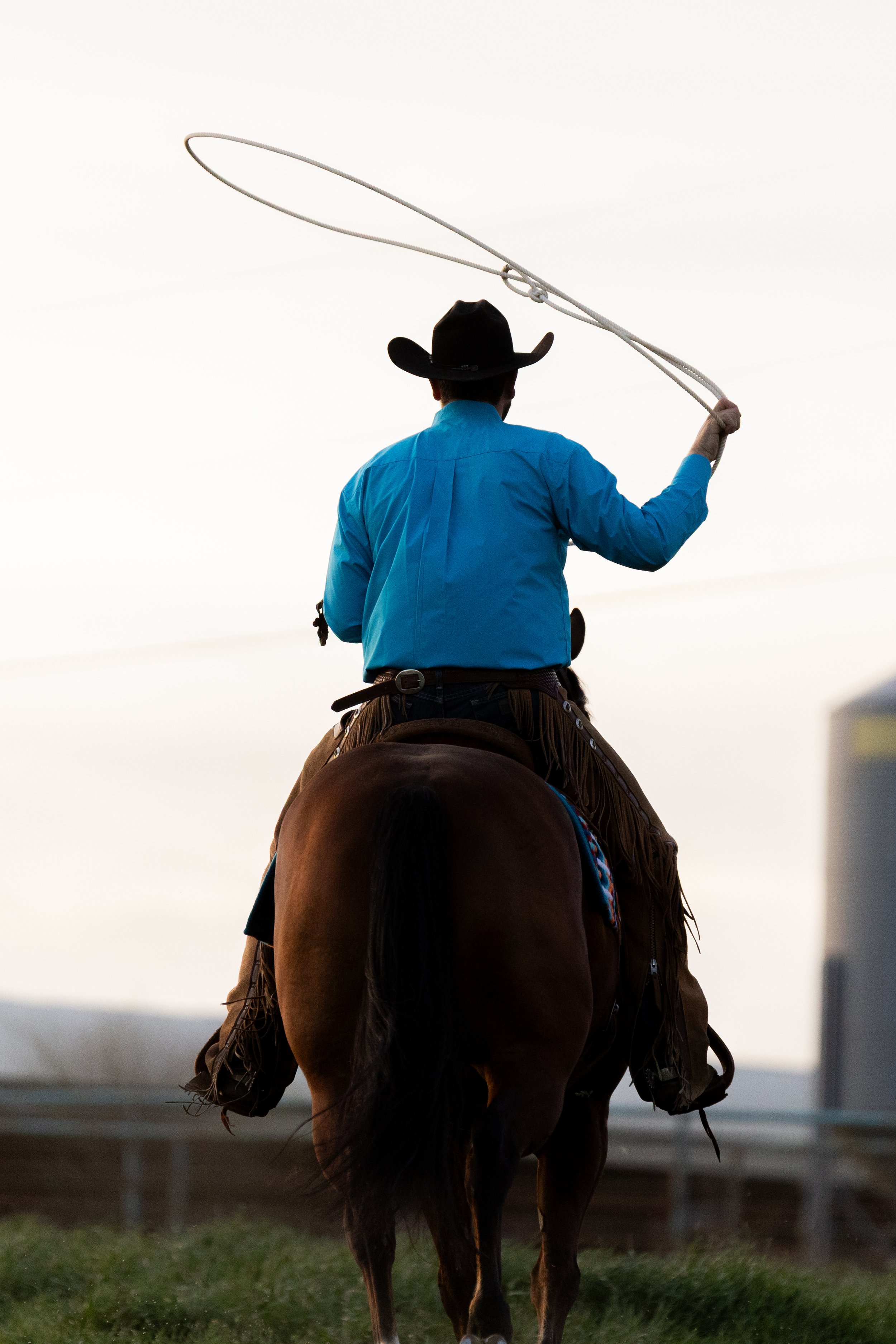 A person wearing a cowboy hat and blue shirt is riding a dark brown horse outdoors during sunset, holding a lasso.