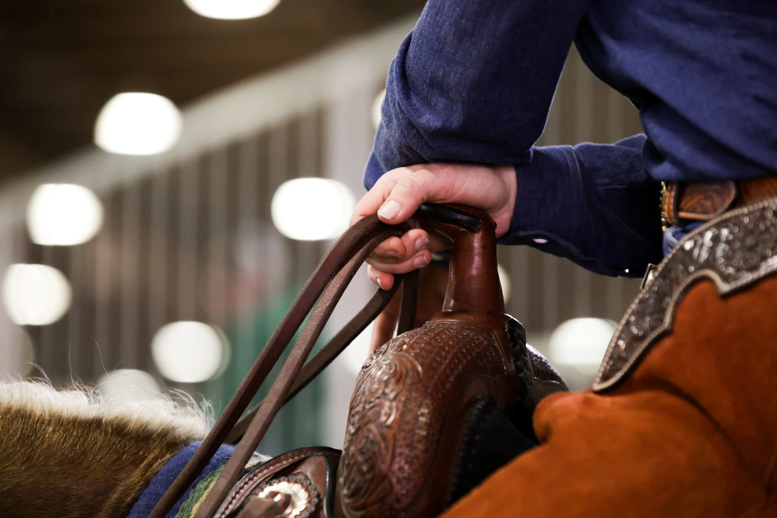 Close-up of someone holding the reins of a horse with a saddle, with a blurred background featuring circular light spots.