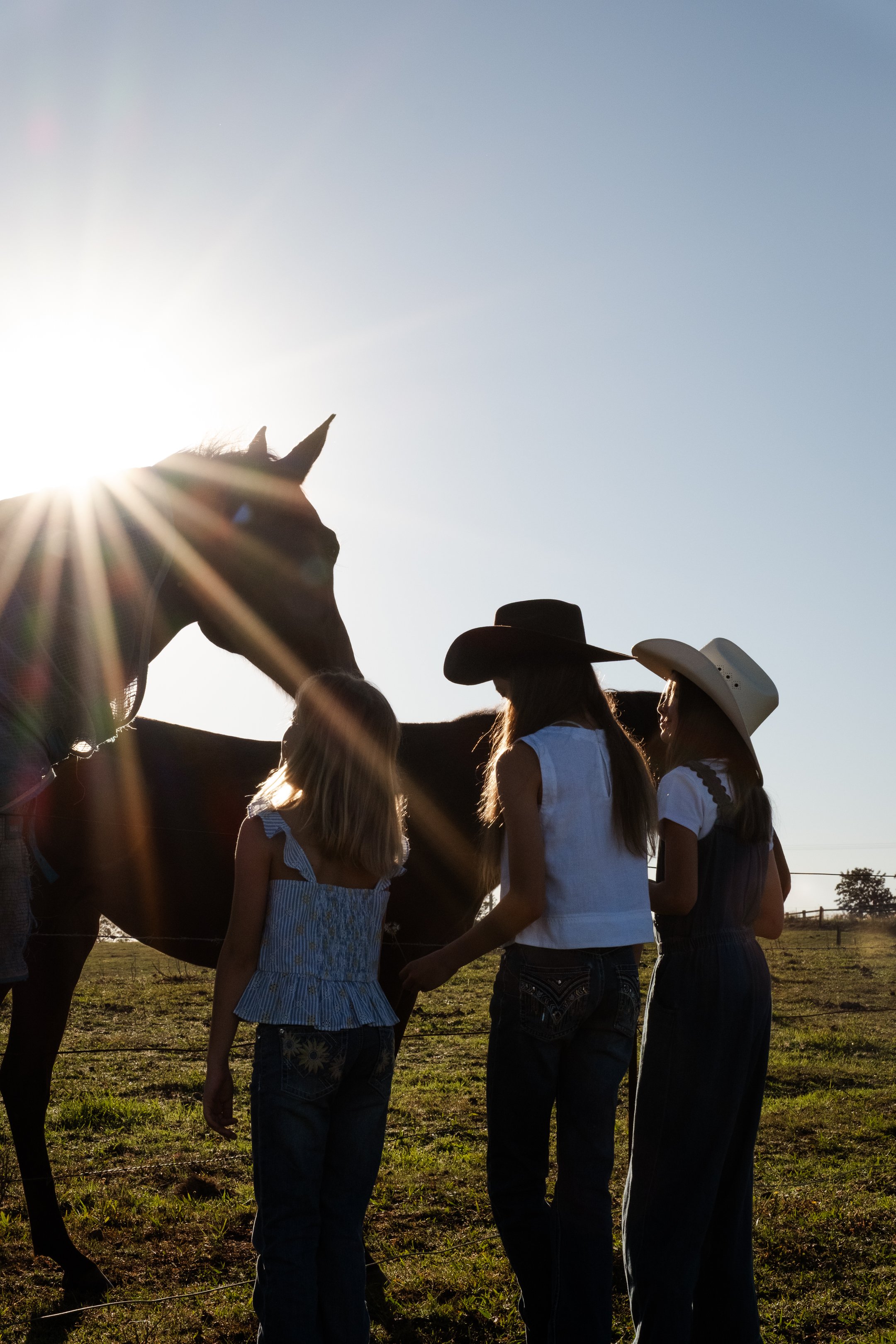 hunter-valley-family-portrait-photography-golden-hour_1.jpg