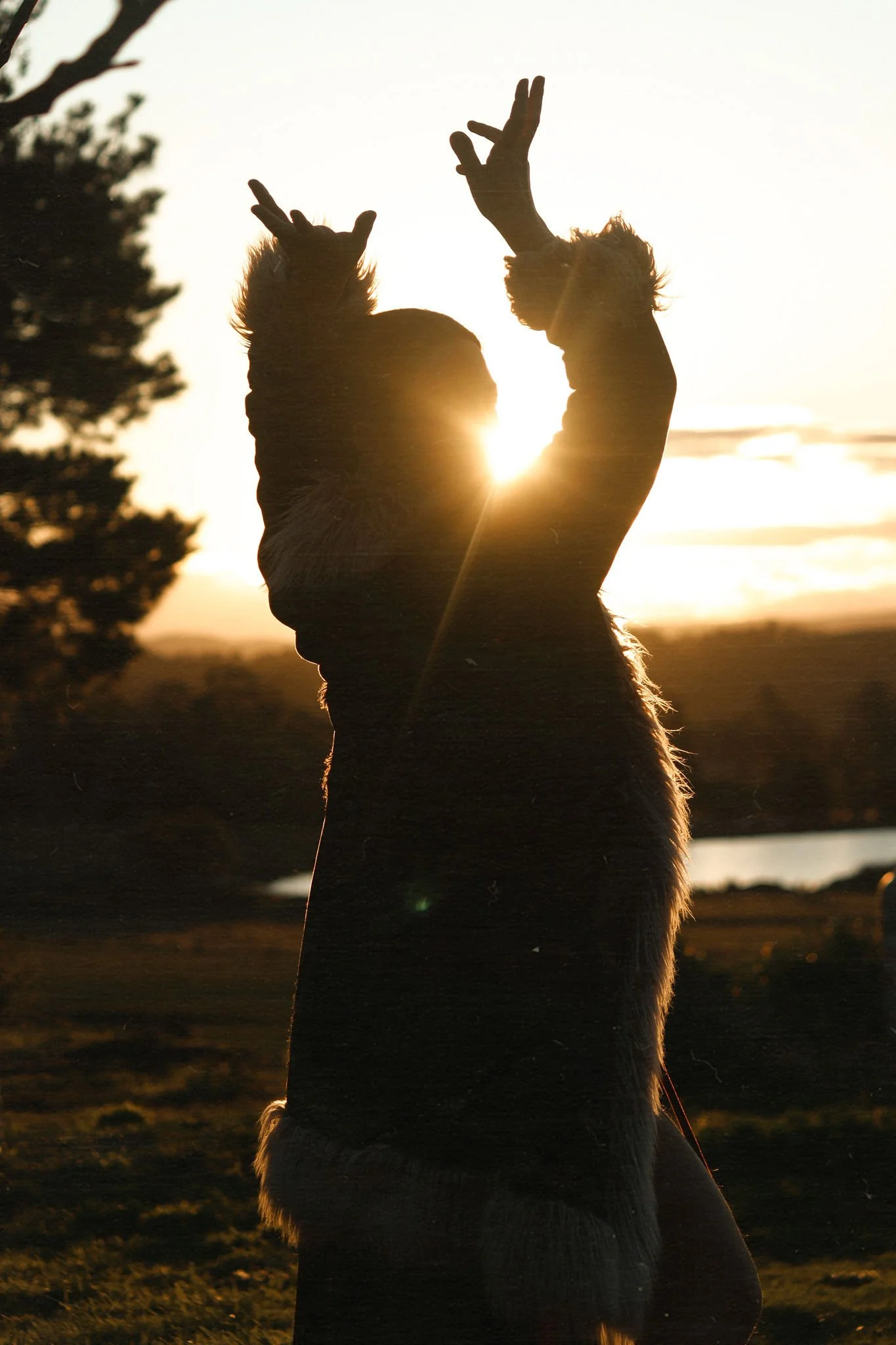Silhouette of a person with furry hair, raising their hands in the air, during sunset with the sun behind them, near a body of water and trees.