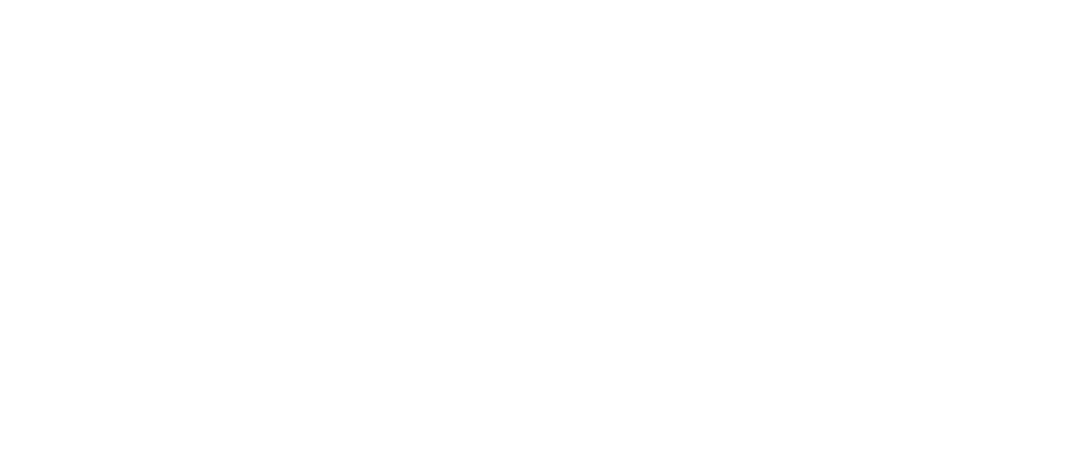 Te Pae Tawhiti Collective Limited