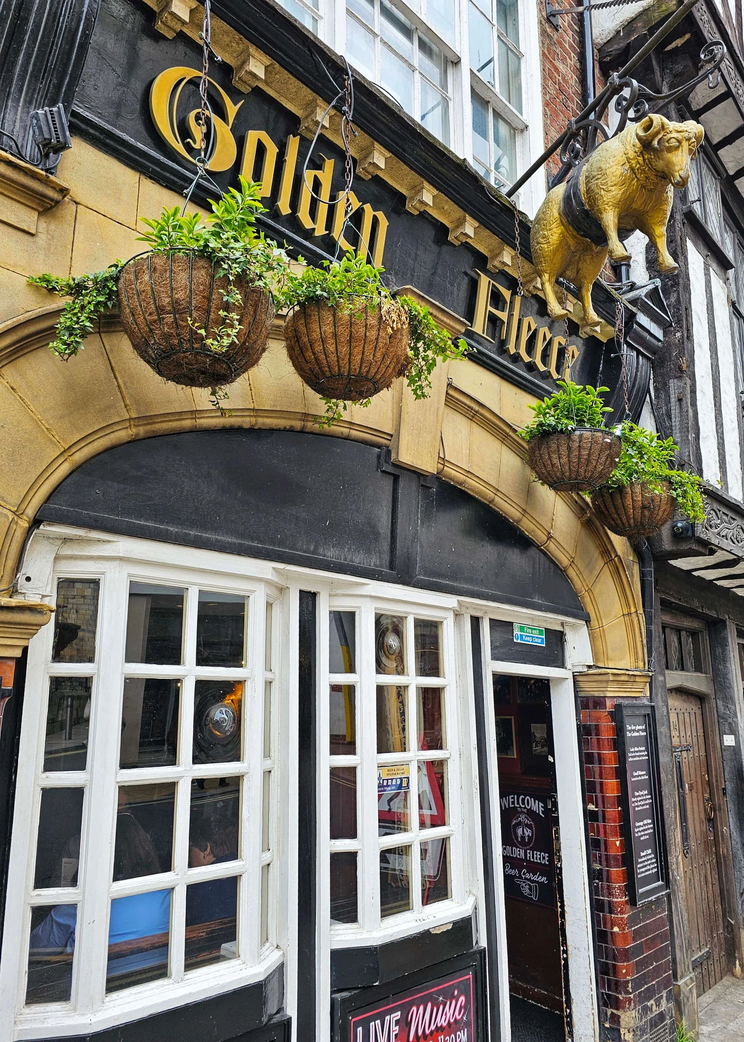Golden Fleece