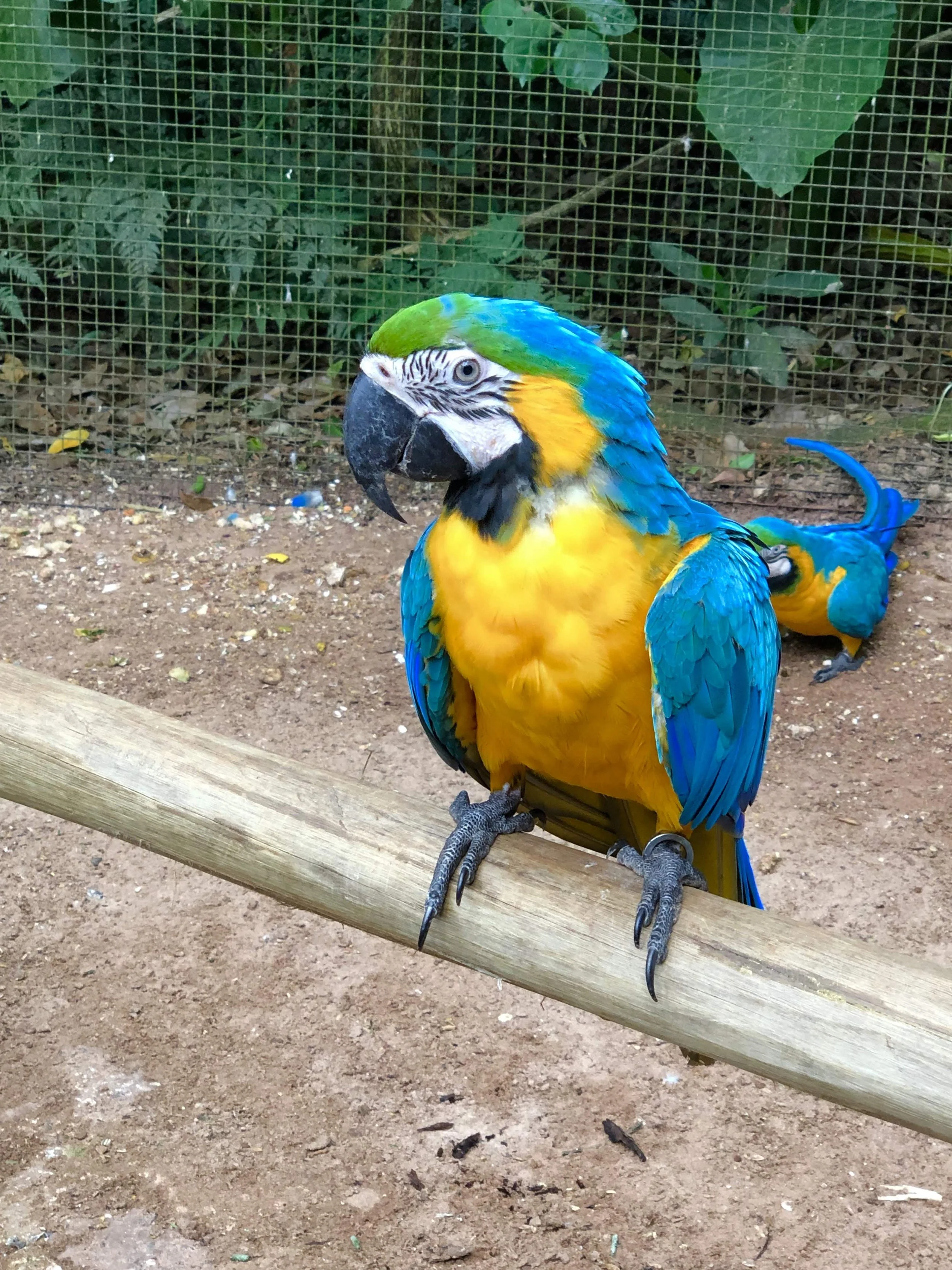 IMG_2430.jpeg