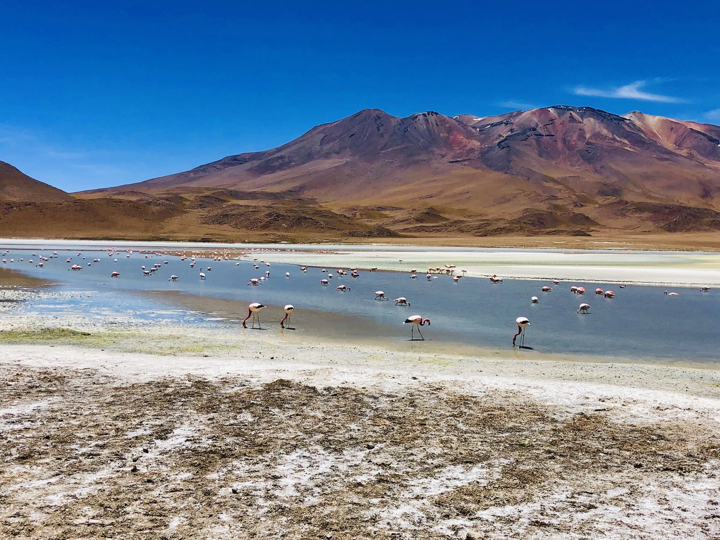 Canapa Lagoon