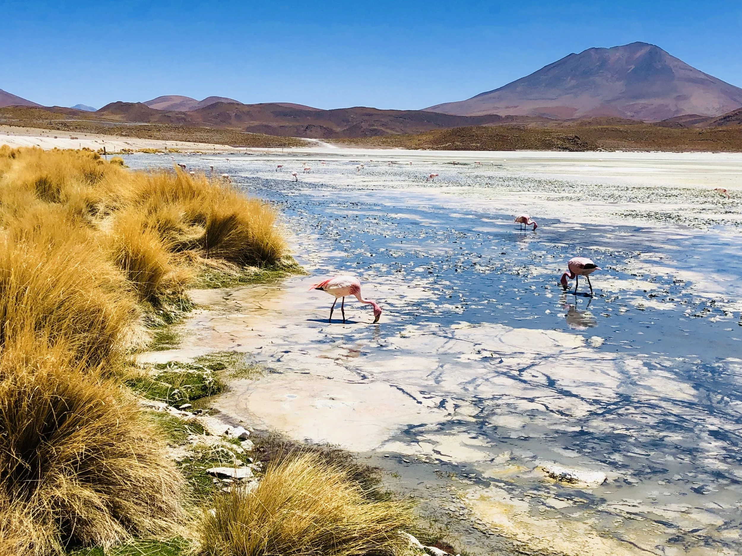 Hedionda Lagoon
