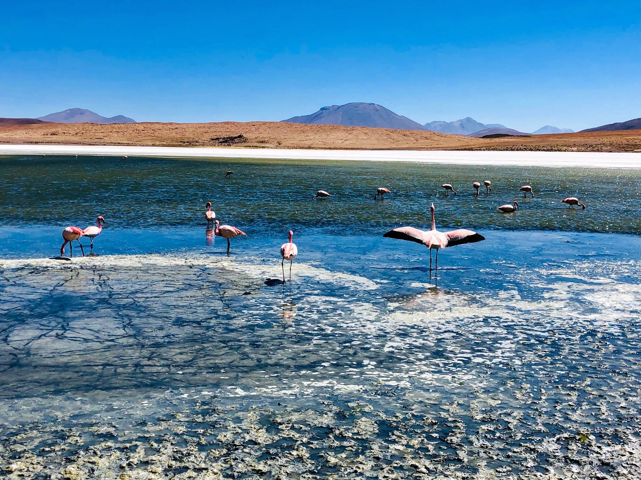 Hedionda Lagoon