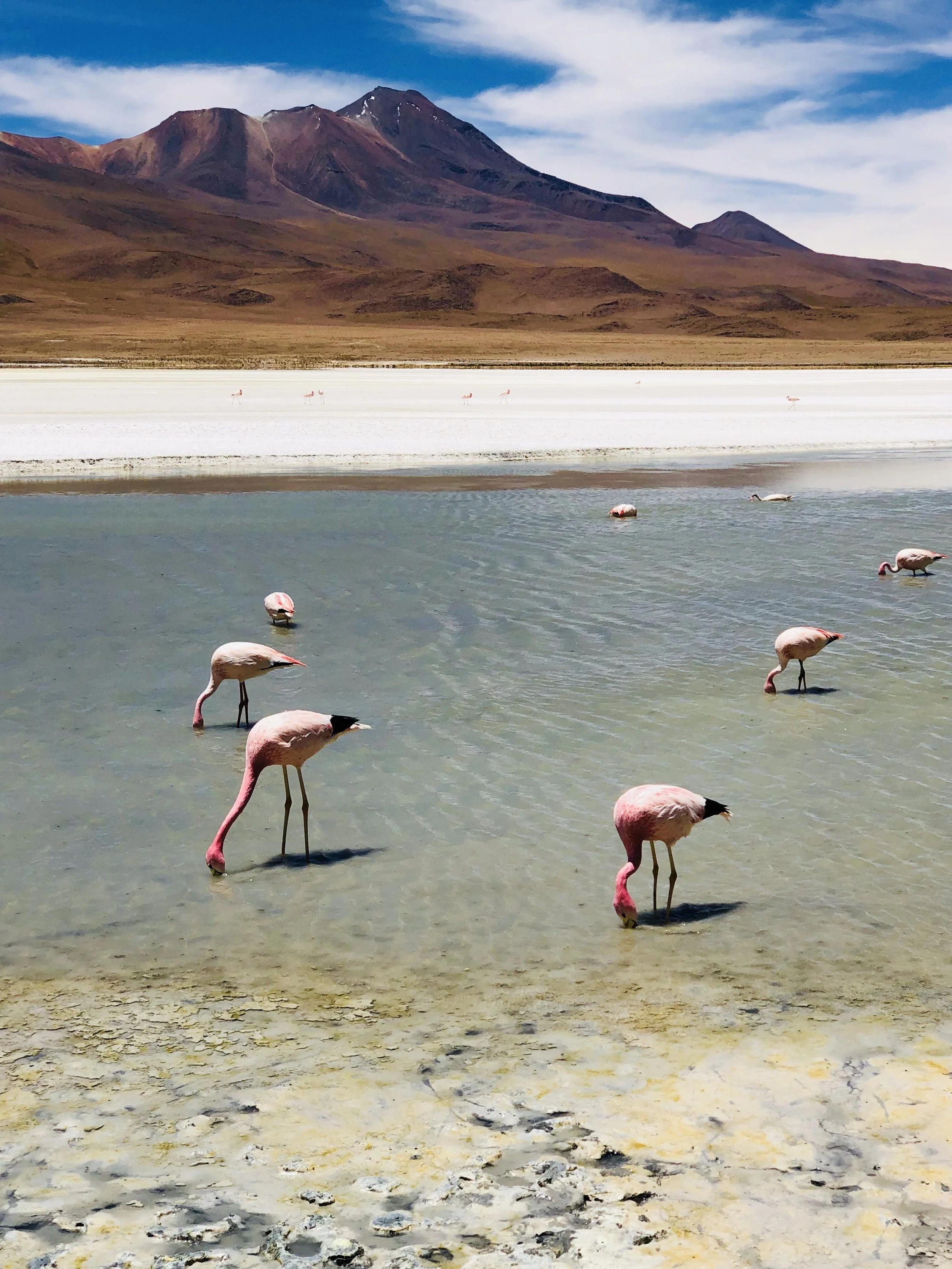 Canapa Lagoon