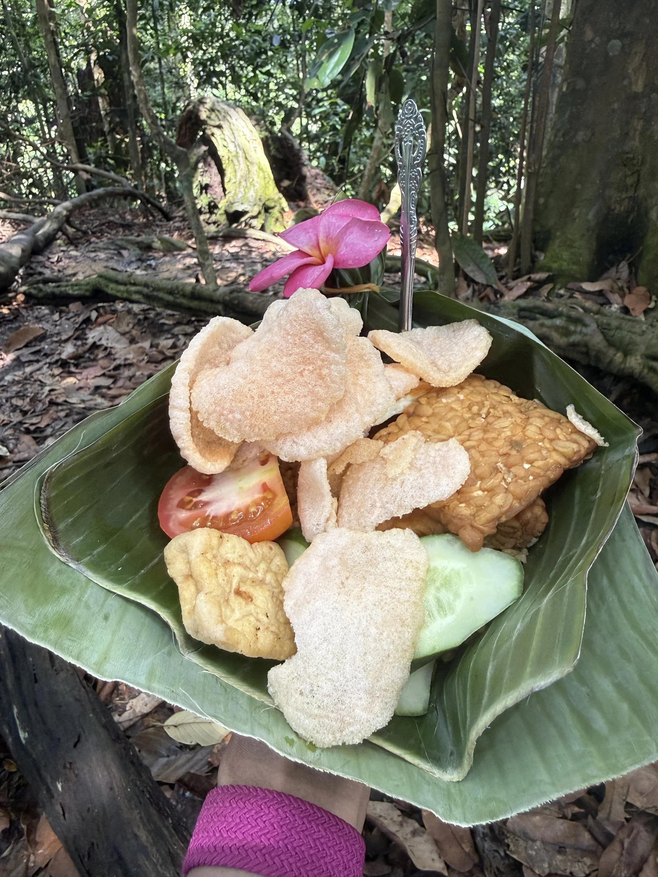Lunch