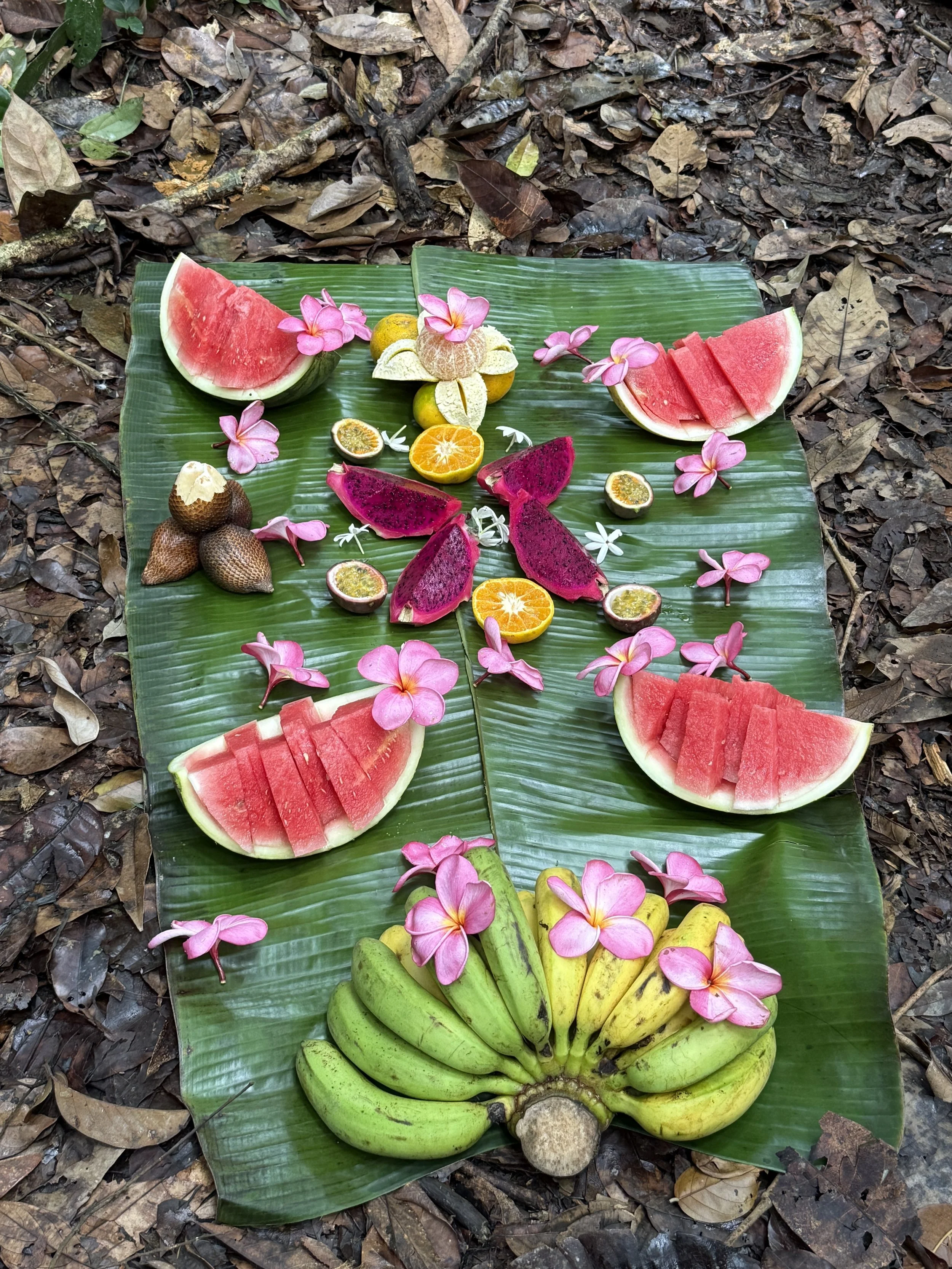 Seasonal tropical fruits for snack time 