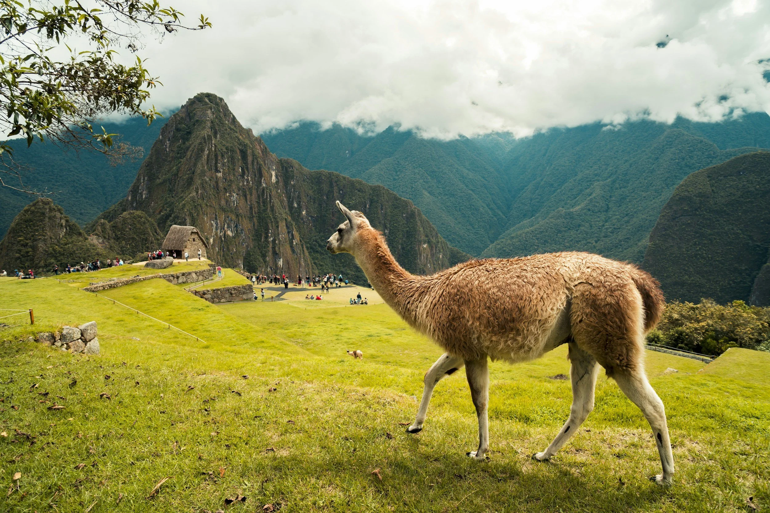 Peru