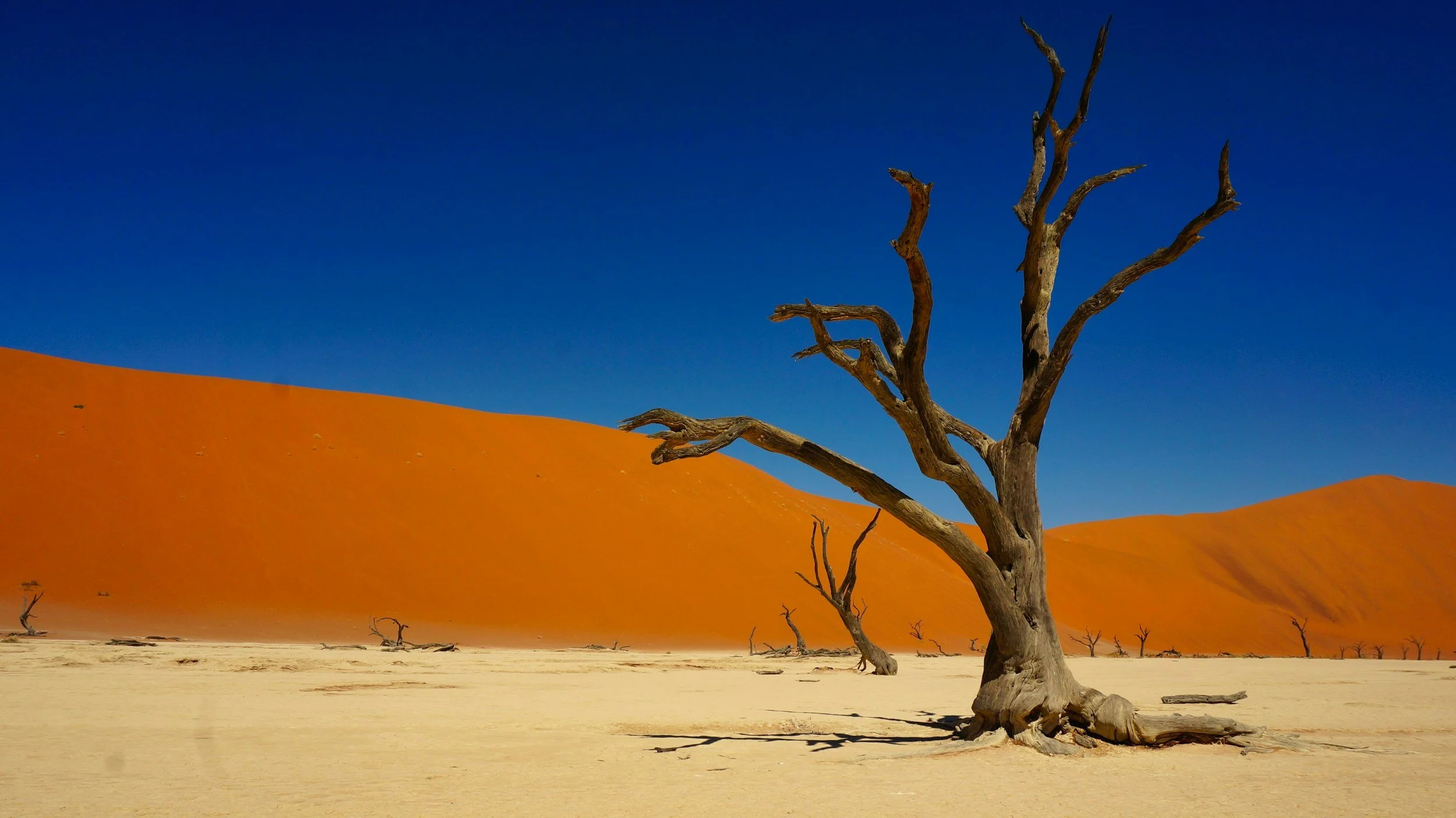 Namibia: Kalahari, Fish River Canyon &amp;Ghost Town