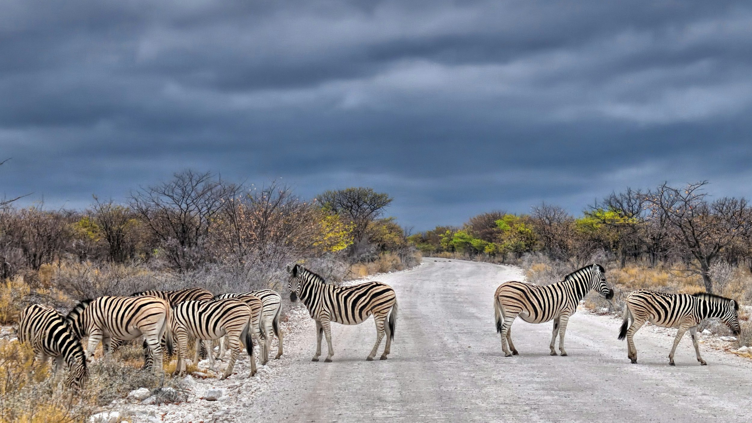 Namibia: Sossusvlei, walvis bay &amp; Etosha National Park with Guesthouse Voigtland