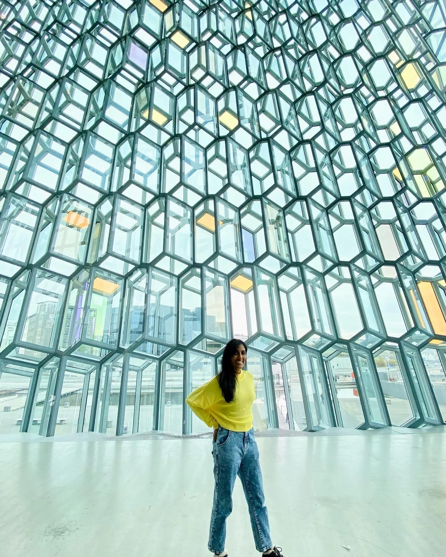 Harpa Concert Hall 
