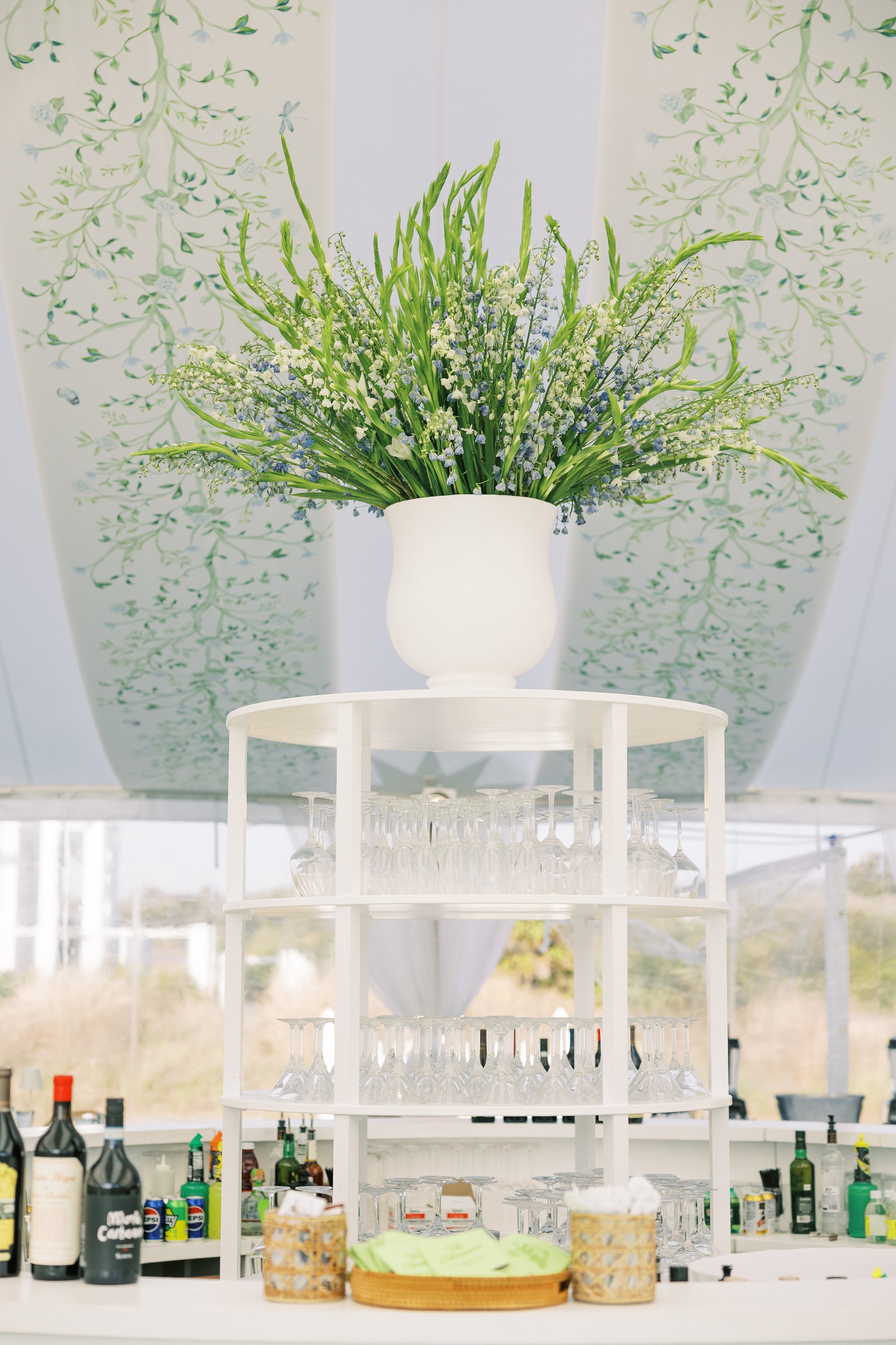 IMG_2395.jpg