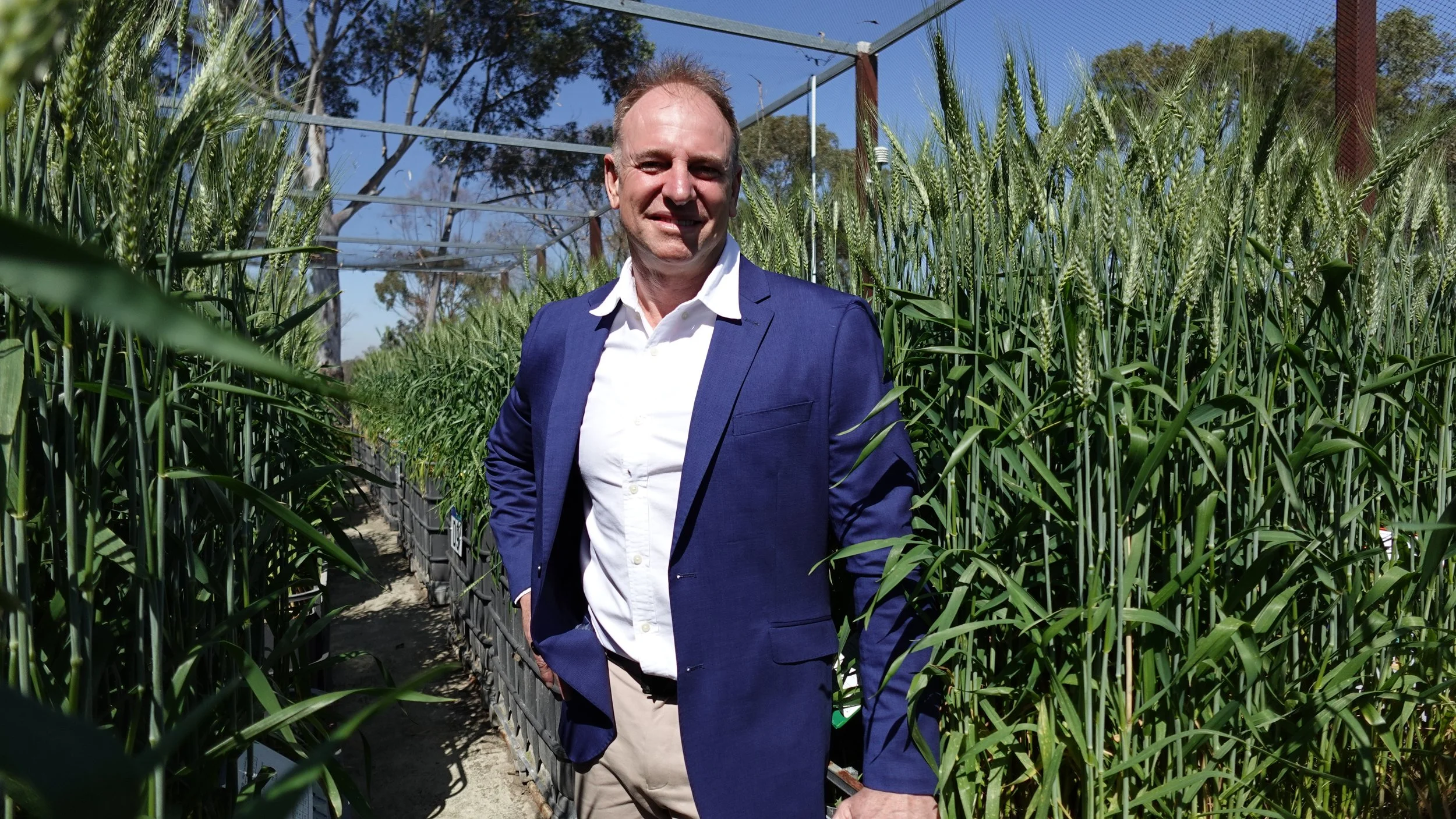 A man in a blue suit jacket and beige pants standing in a row of potted wheat plants outdoors with a netted greenhouse structure and blue sky in the background.