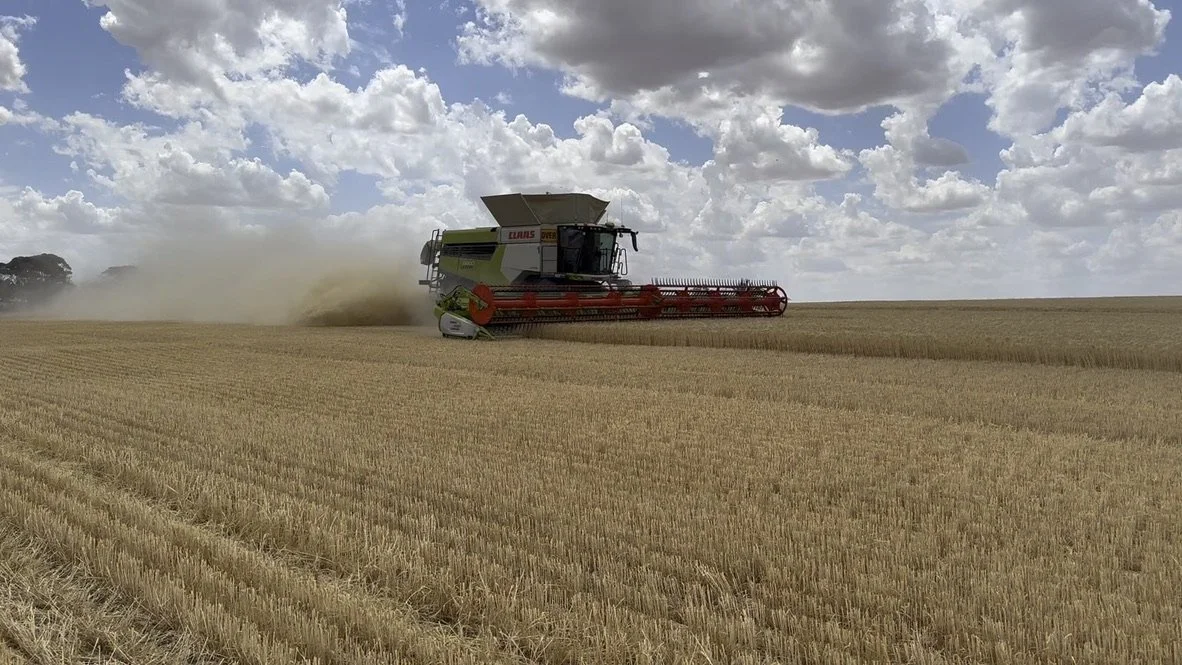 A large combine harvester working in a wheat field under a partly cloudy sky.