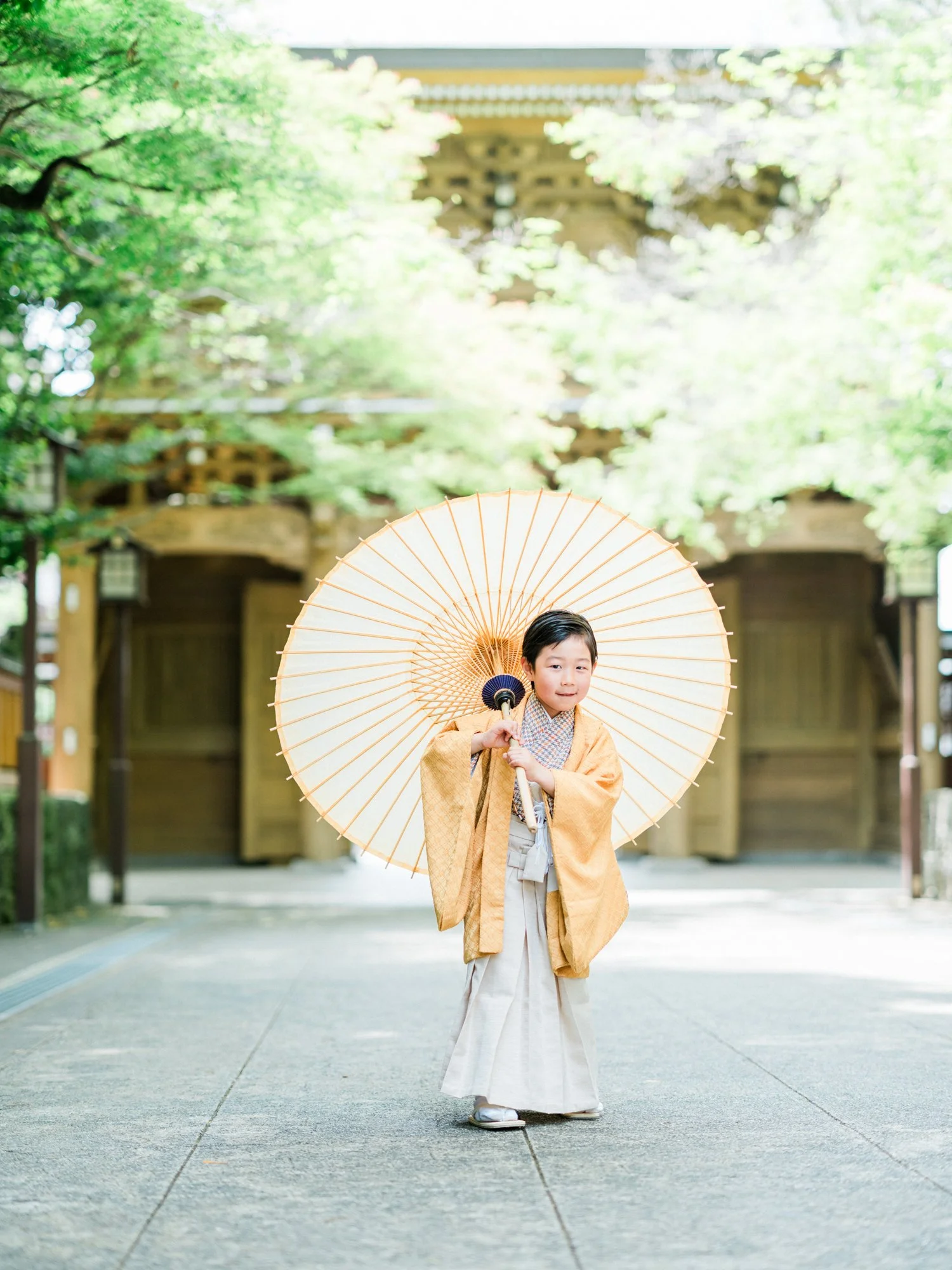 伝統的な着物を着た七五三の子供が、和傘を持っている。背景は神社の鳥居と緑豊かな木々。
