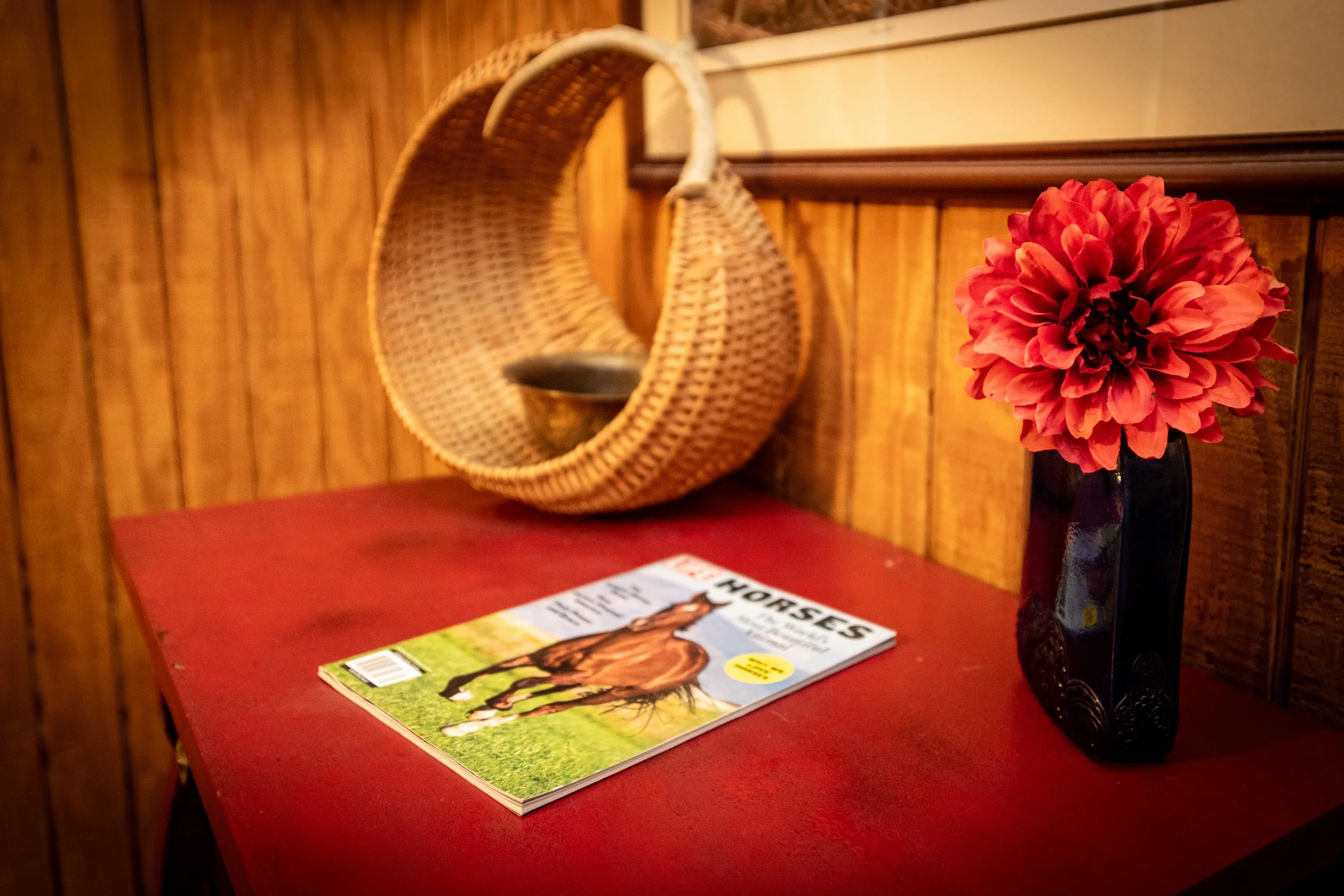 A table with a red tablecloth, holding a magazine titled 'Horses' and a tall black vase with a large red flower. Behind the table is a wooden wall and a hanging wicker chair.