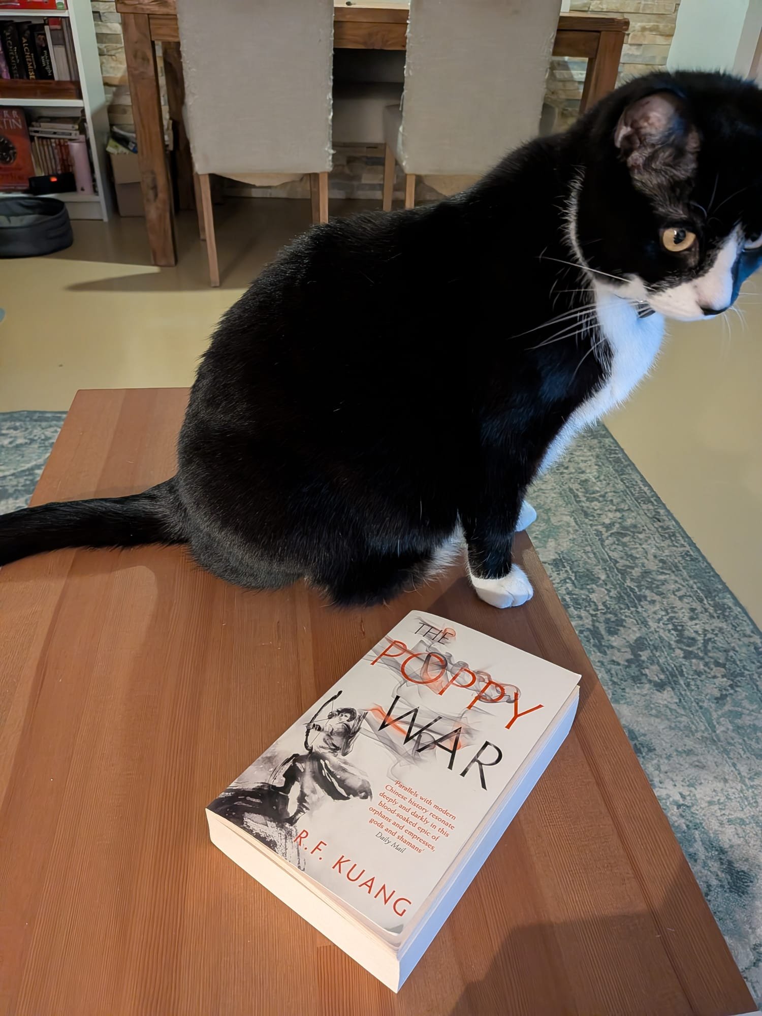 A black and white cat sitting on a wooden table next to a book titled "The Poppy War" by R. F. Kuang. The room has bookshelves and a chair in the background.