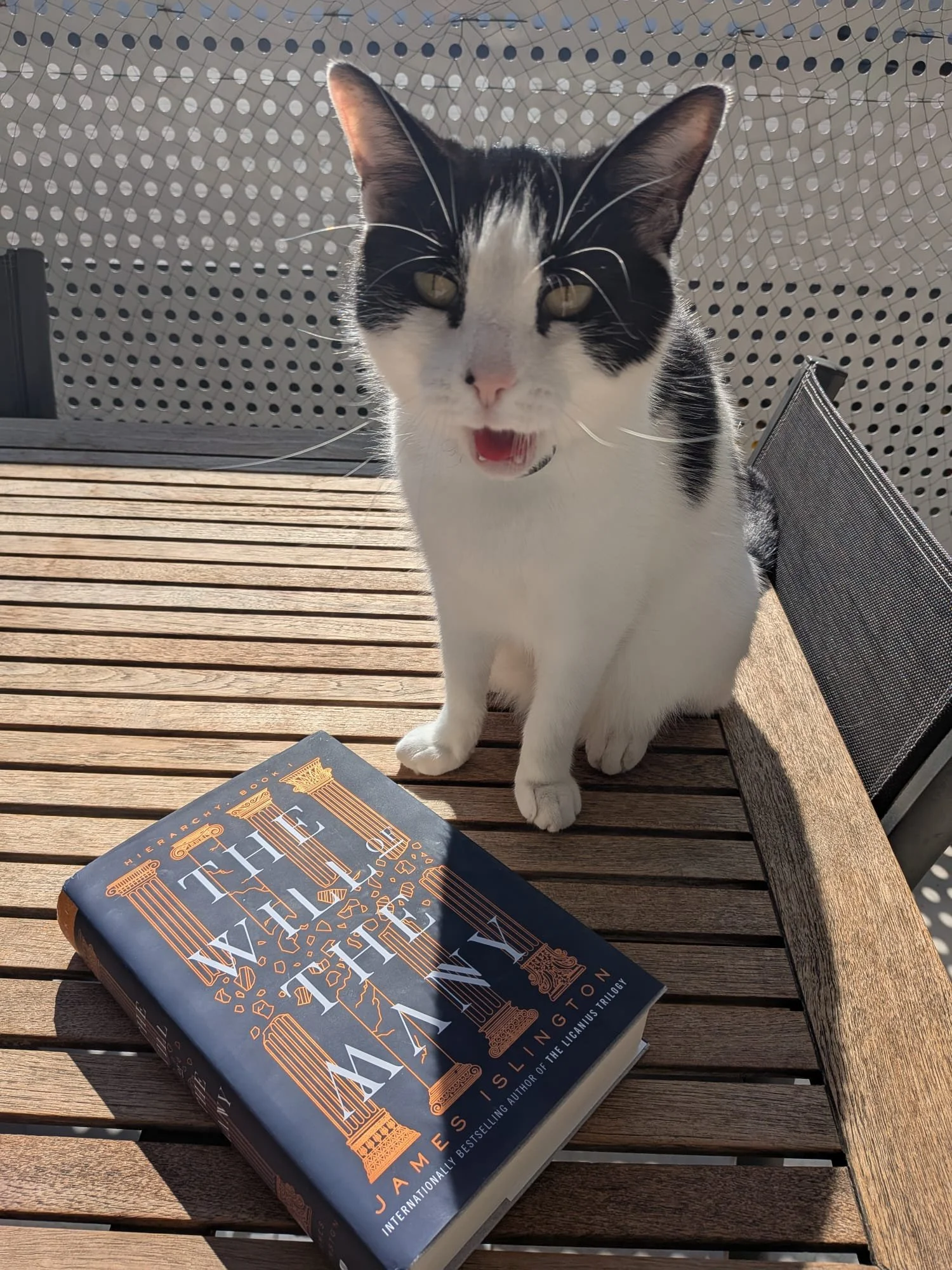 A black and white cat sitting on a wooden outdoor table next to a book titled 'JAMES T. SLAUGHTER.' The cat has its mouth open and appears to be meowing. The background features a perforated metal deck railing and a chair with a metal mesh back.
