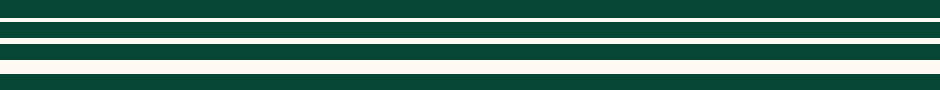 Horizontal lines divider.