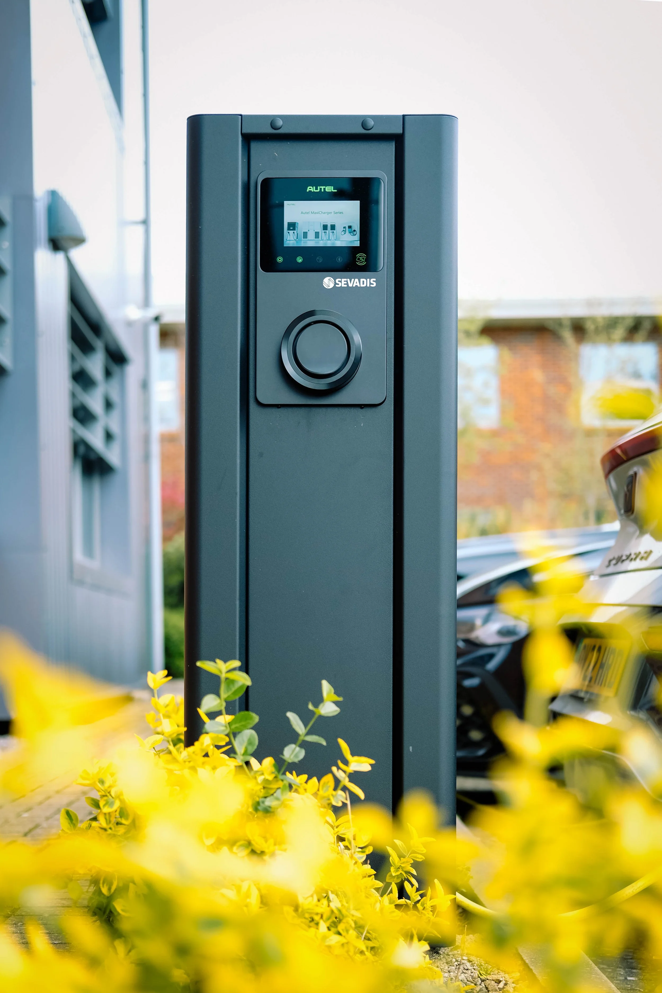 Electric vehicle charging station with a digital display, surrounded by yellow flowers in the foreground and parked cars in the background.