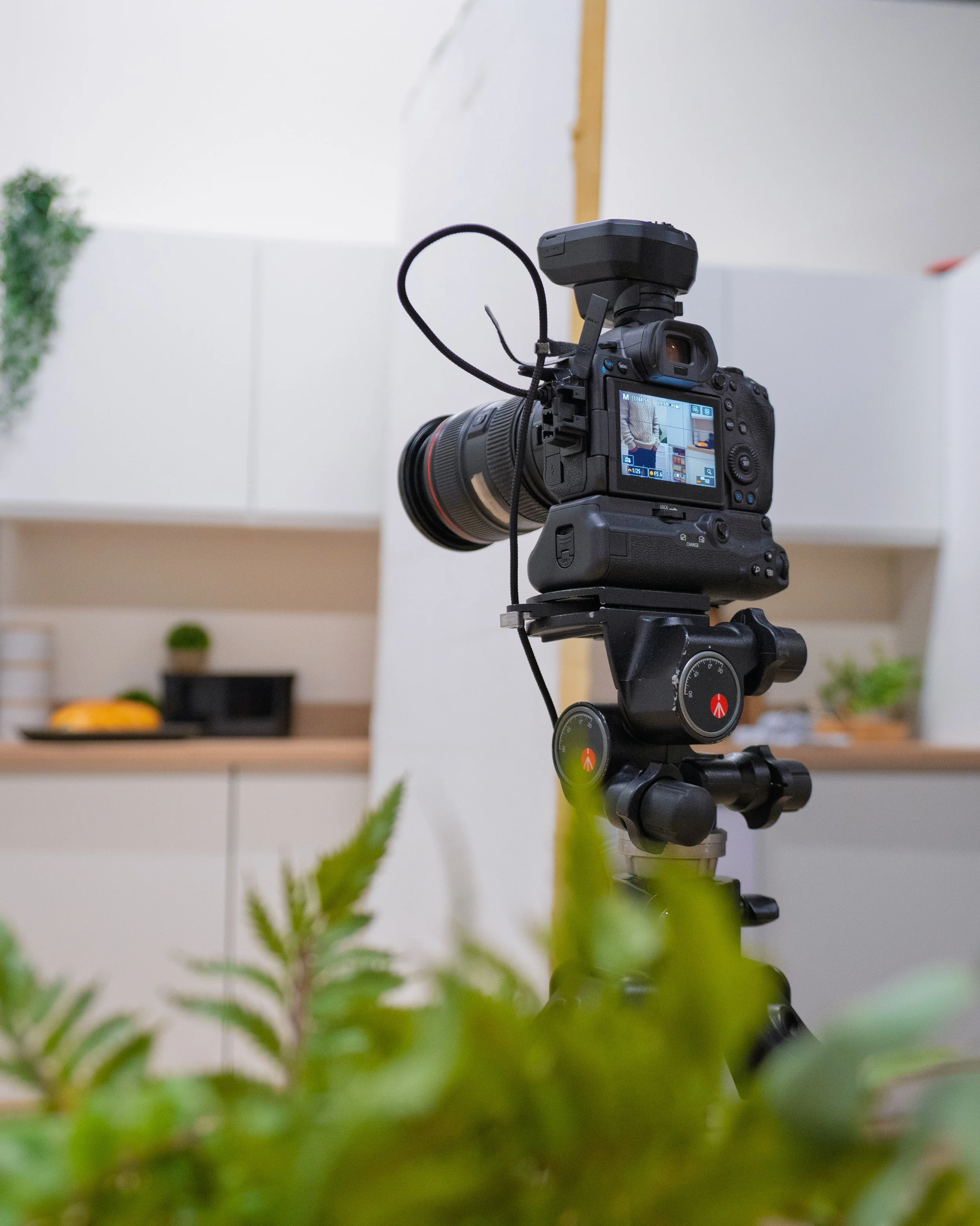 A professional camera mounted on a tripod, aimed at a scene with plants and a white wall, inside a room with kitchen and living area background.