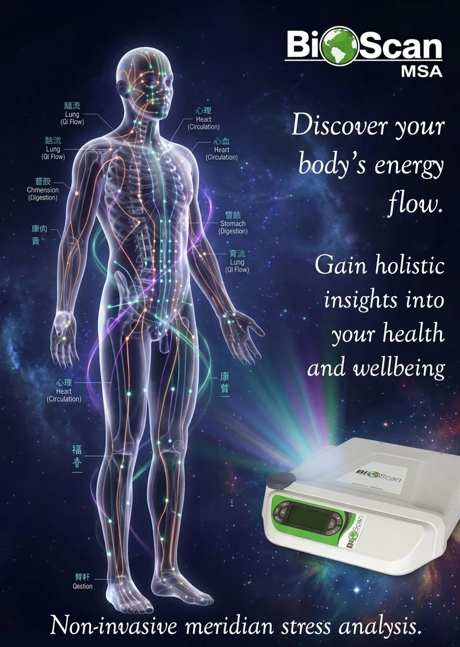 Francesca Anderson, bioscan, meridian stress testing, frequency healing, frequency scanning, bioresonance, bioresonance testing, allergies, chronic fatigue, post acute infectious syndrome, alternative health, homeopathy,  Lelystad