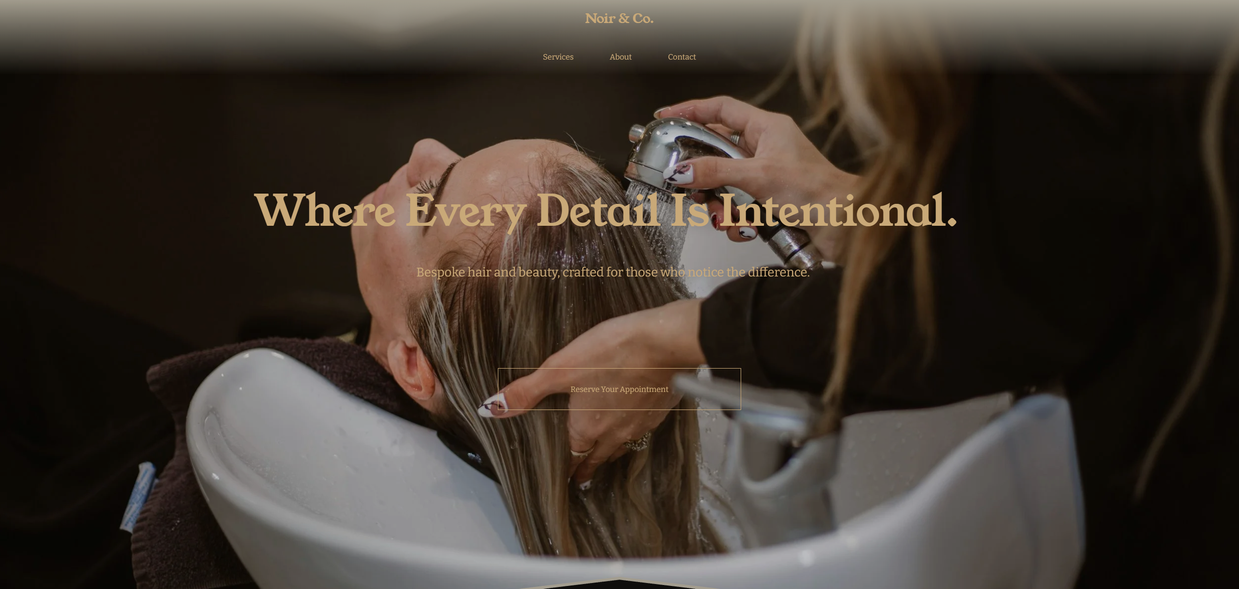 concept-project-noir-salon