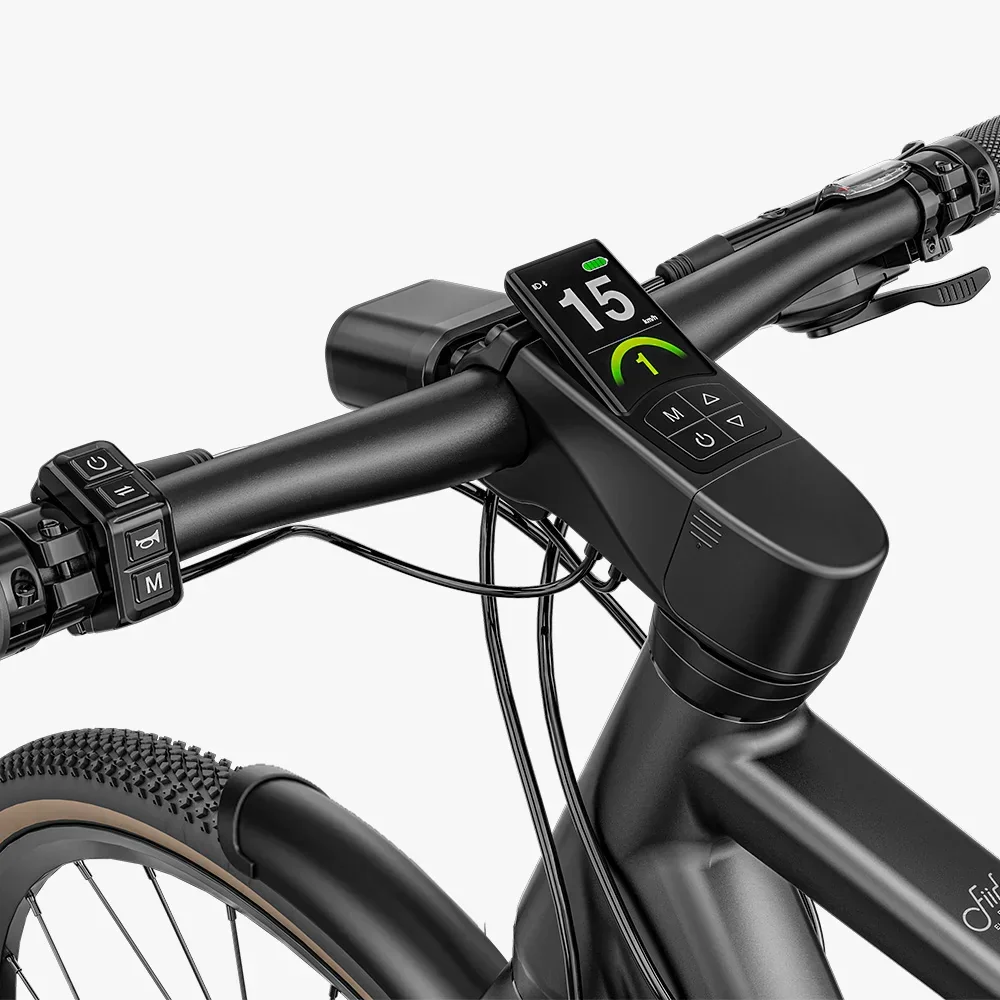 fiido ebike screen