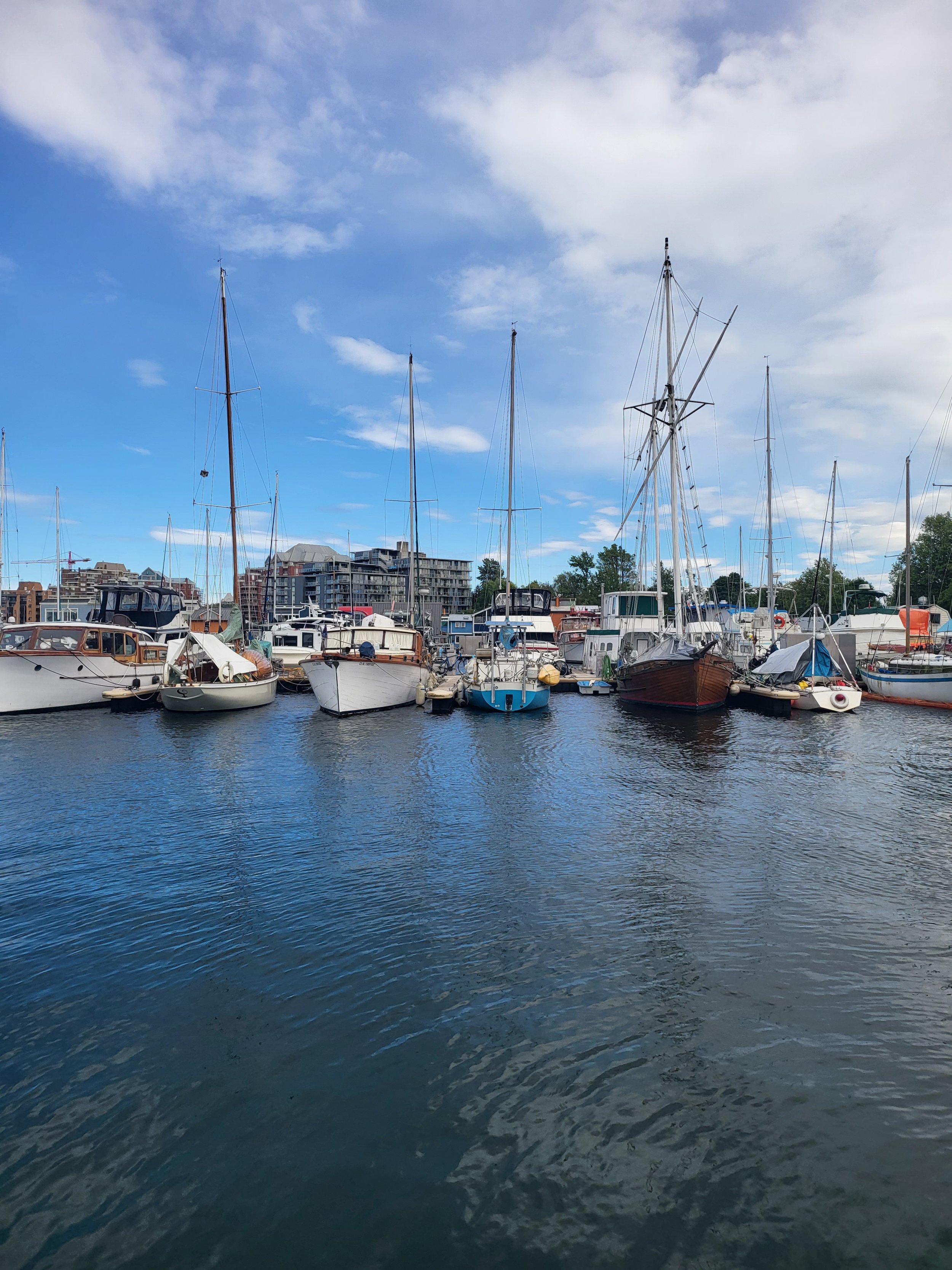 The Marina Facility Project