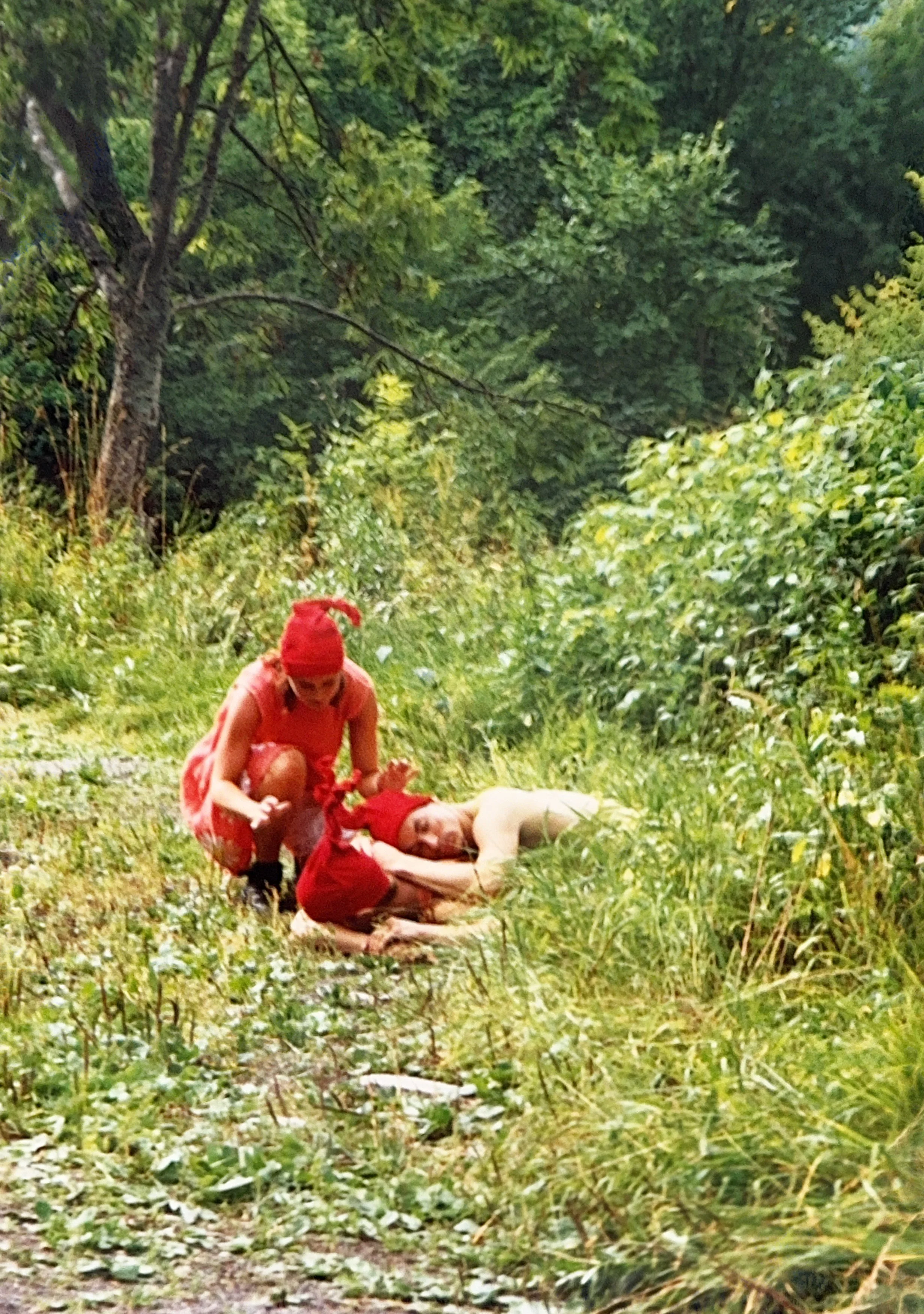Nisse 6.jpg