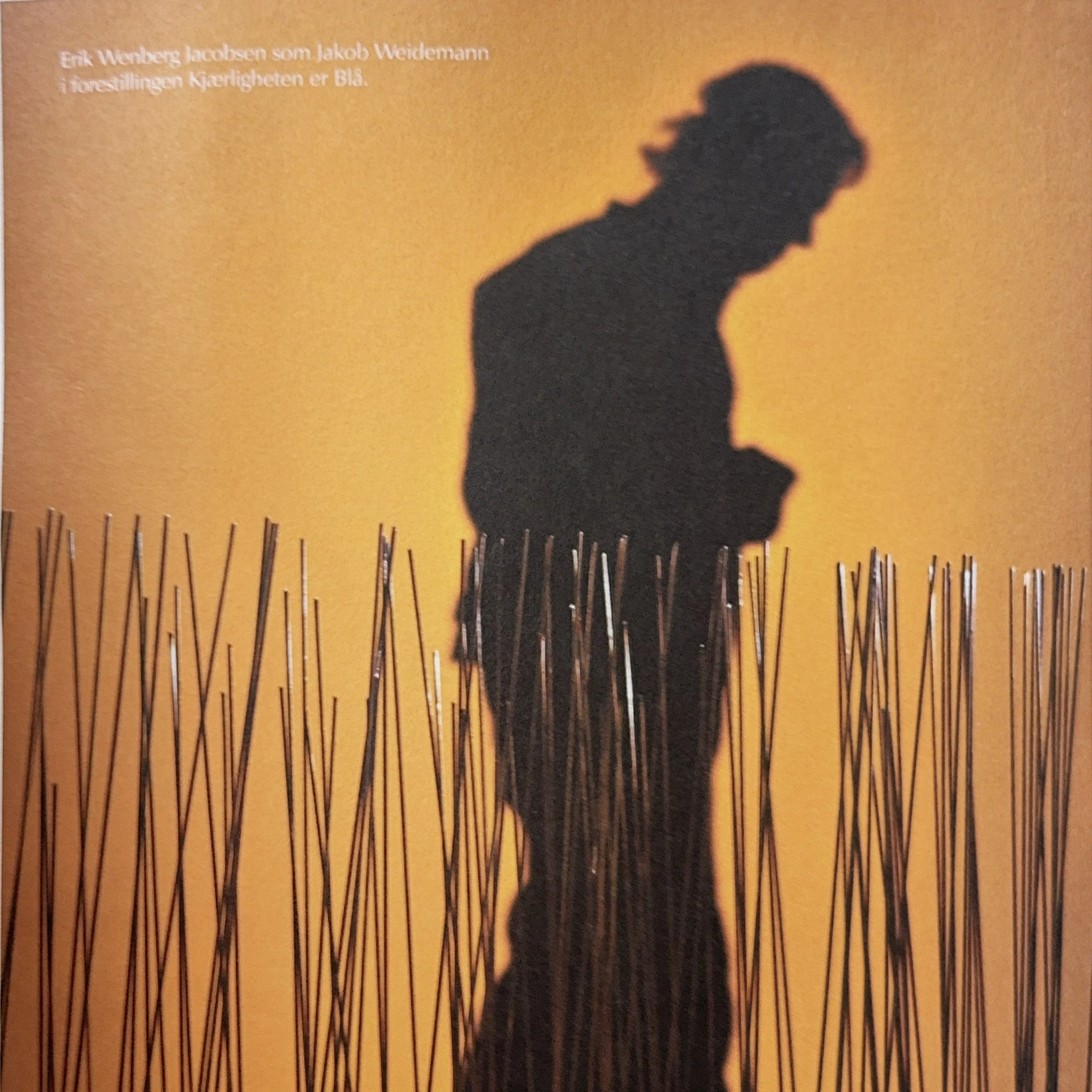 Shadow silhouette of a person with curly hair against a yellow background with black lines at the bottom.