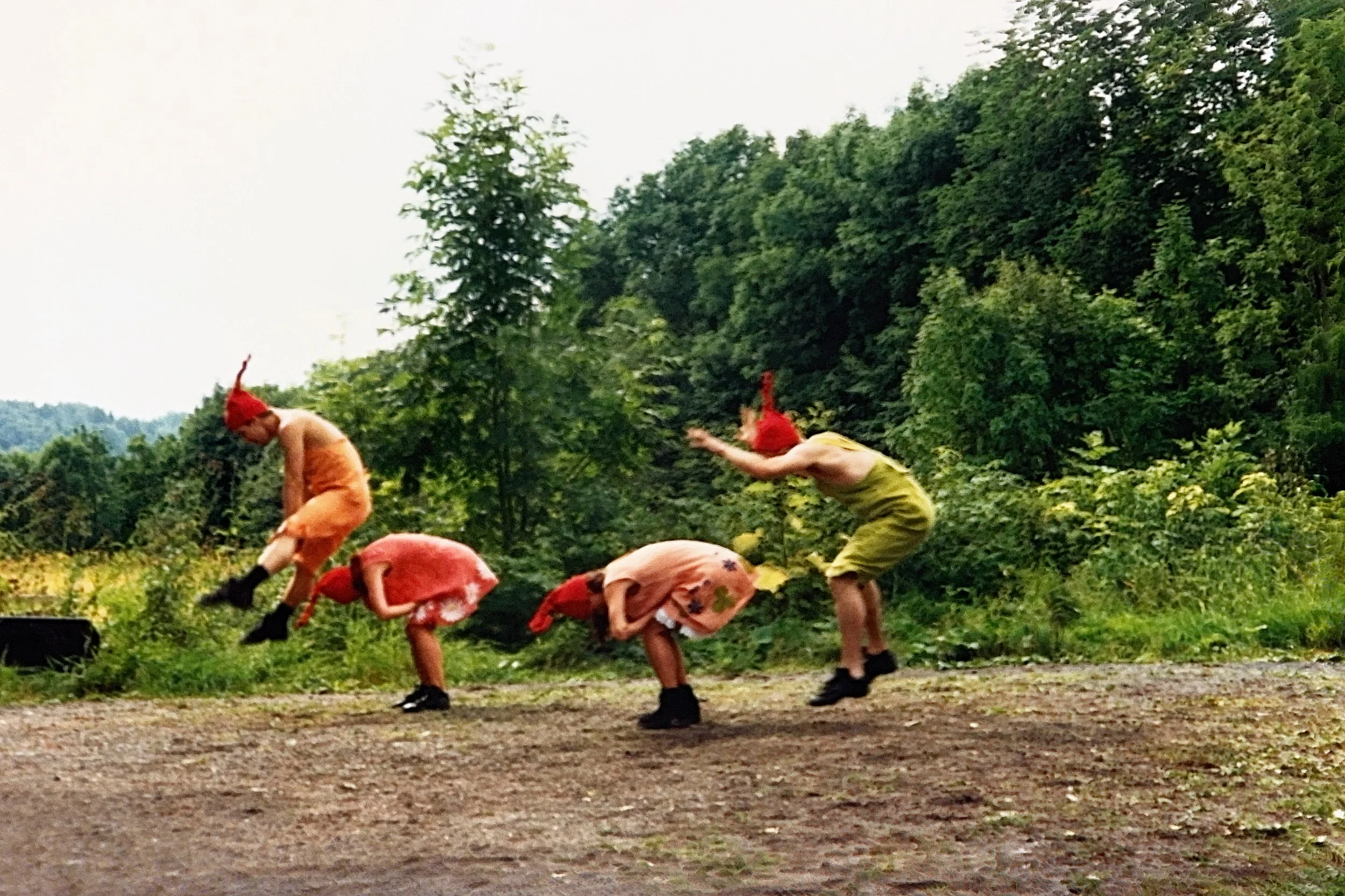 Nisse 7.jpg