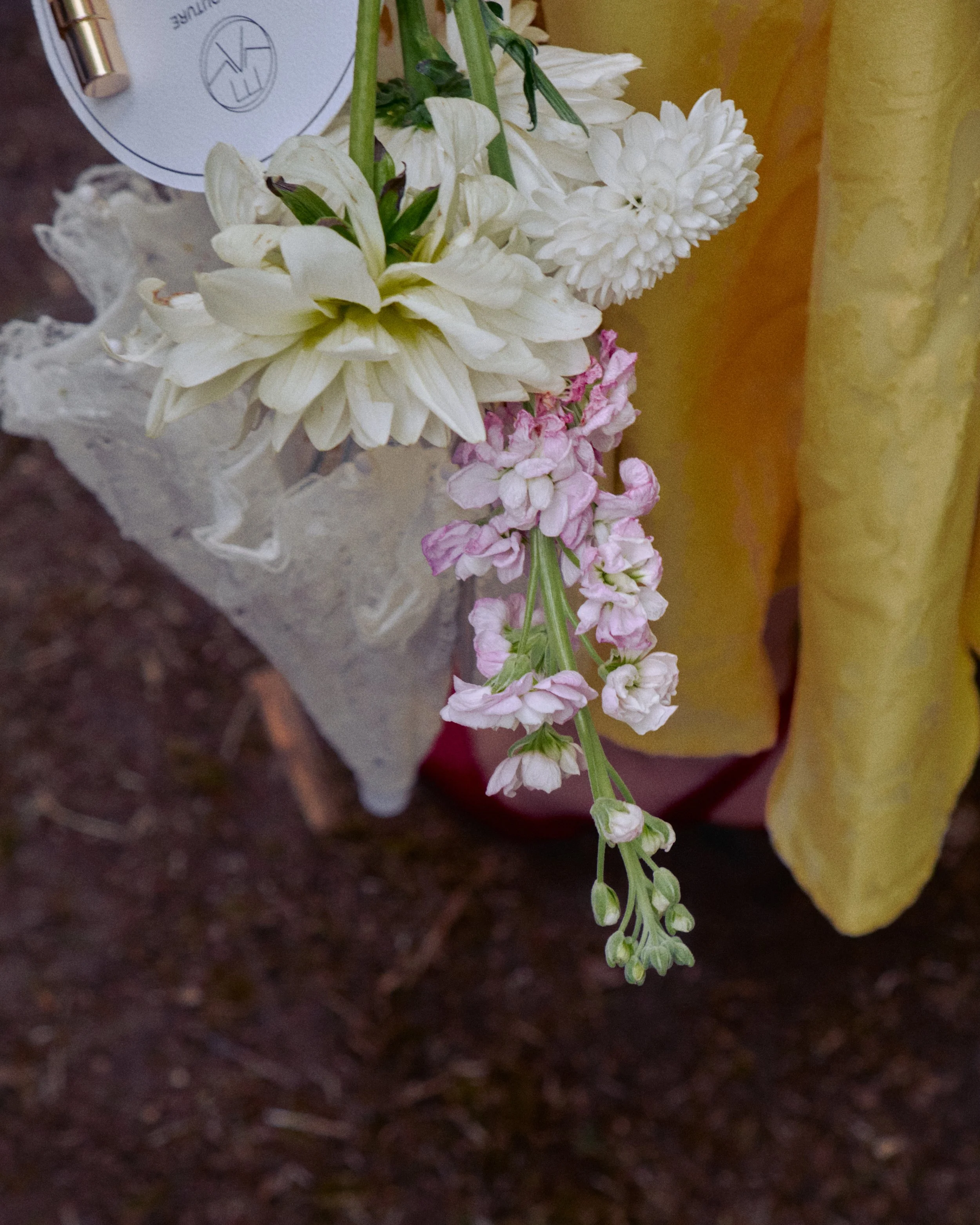 DSCF6747.jpg