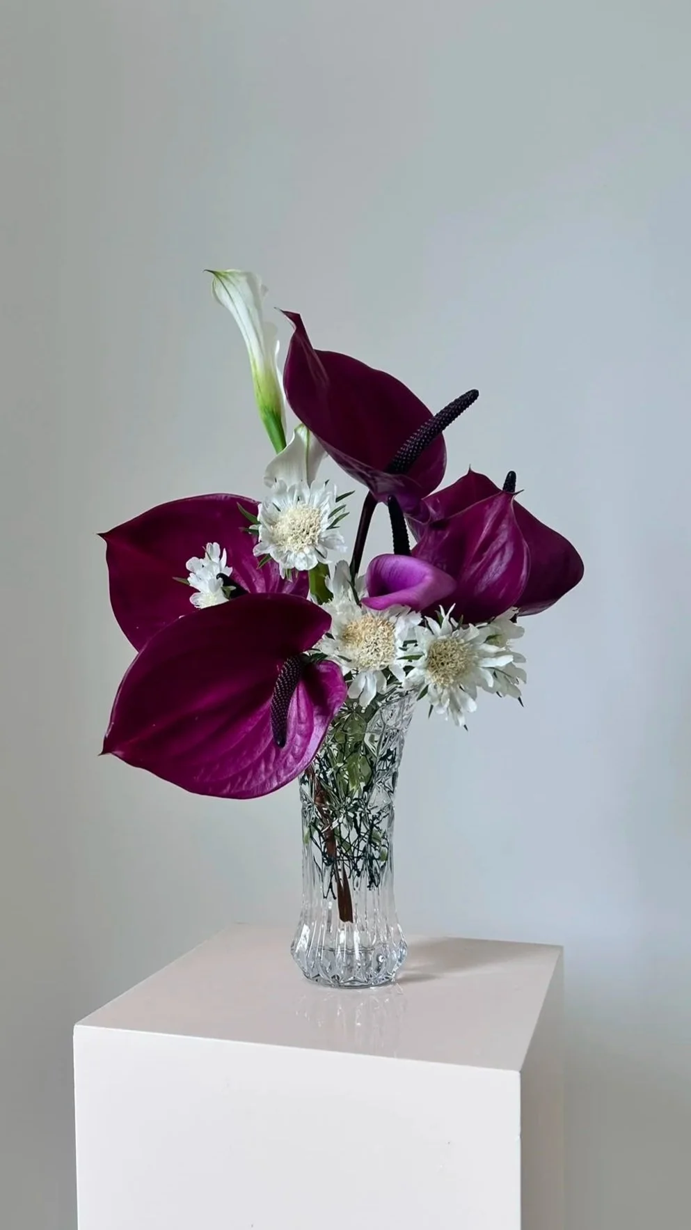 Un bouquet de fleurs composé principalement d'anthuriums violets, de juglans blancs et de petites fleurs blanches dans un vase en verre décoratif, posé sur un socle blanc.