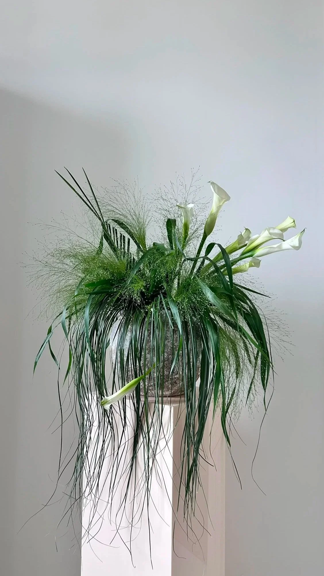 Vase avec des fleurs blanches et des feuilles longues sur fond neutre