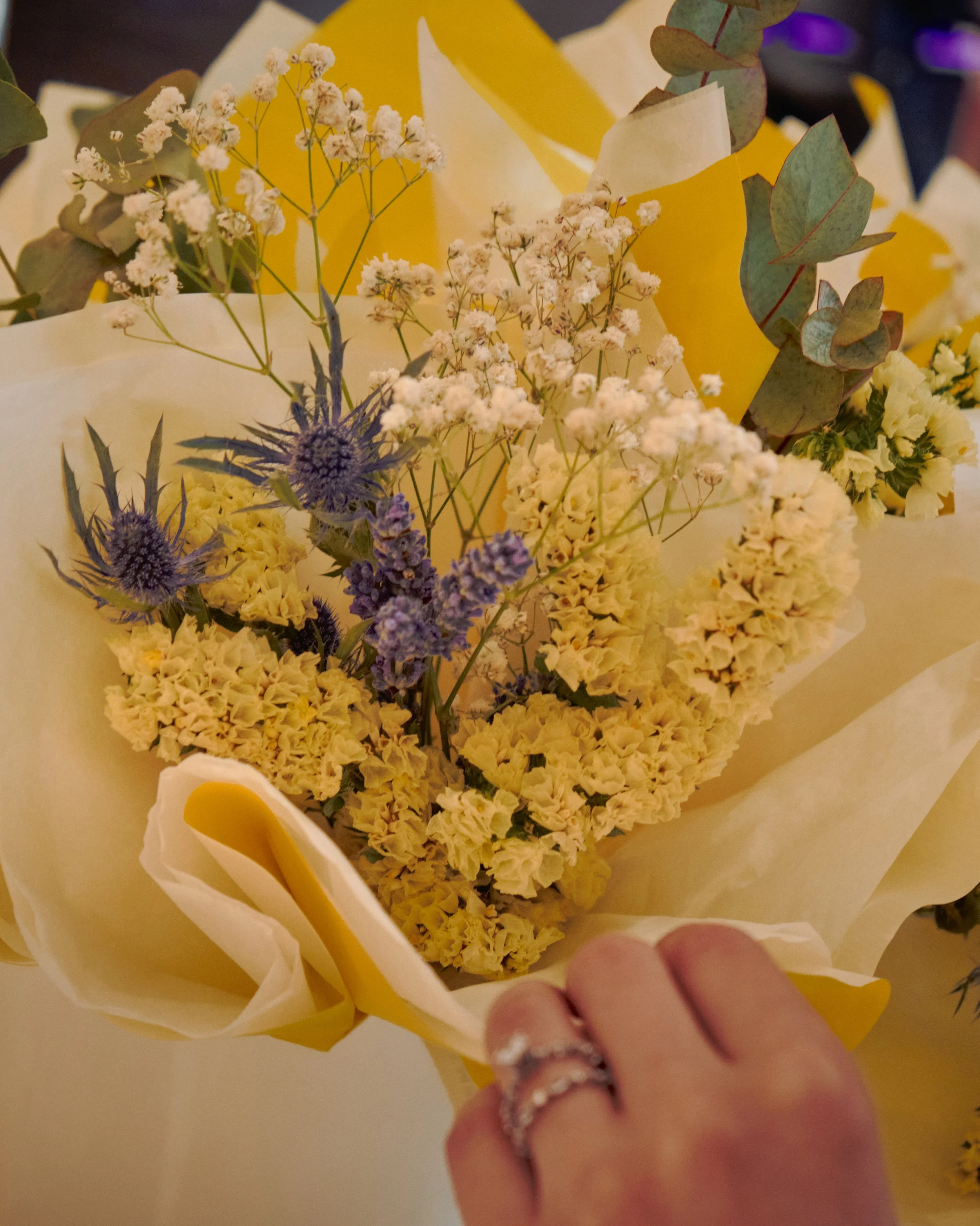 DSCF4869.jpg