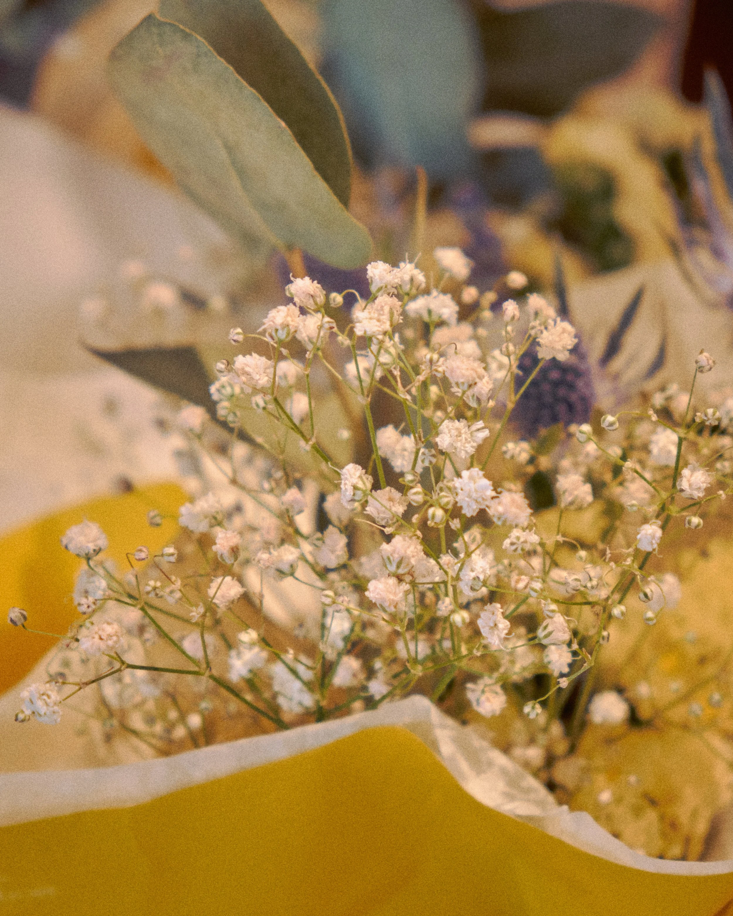 DSCF4791.jpg