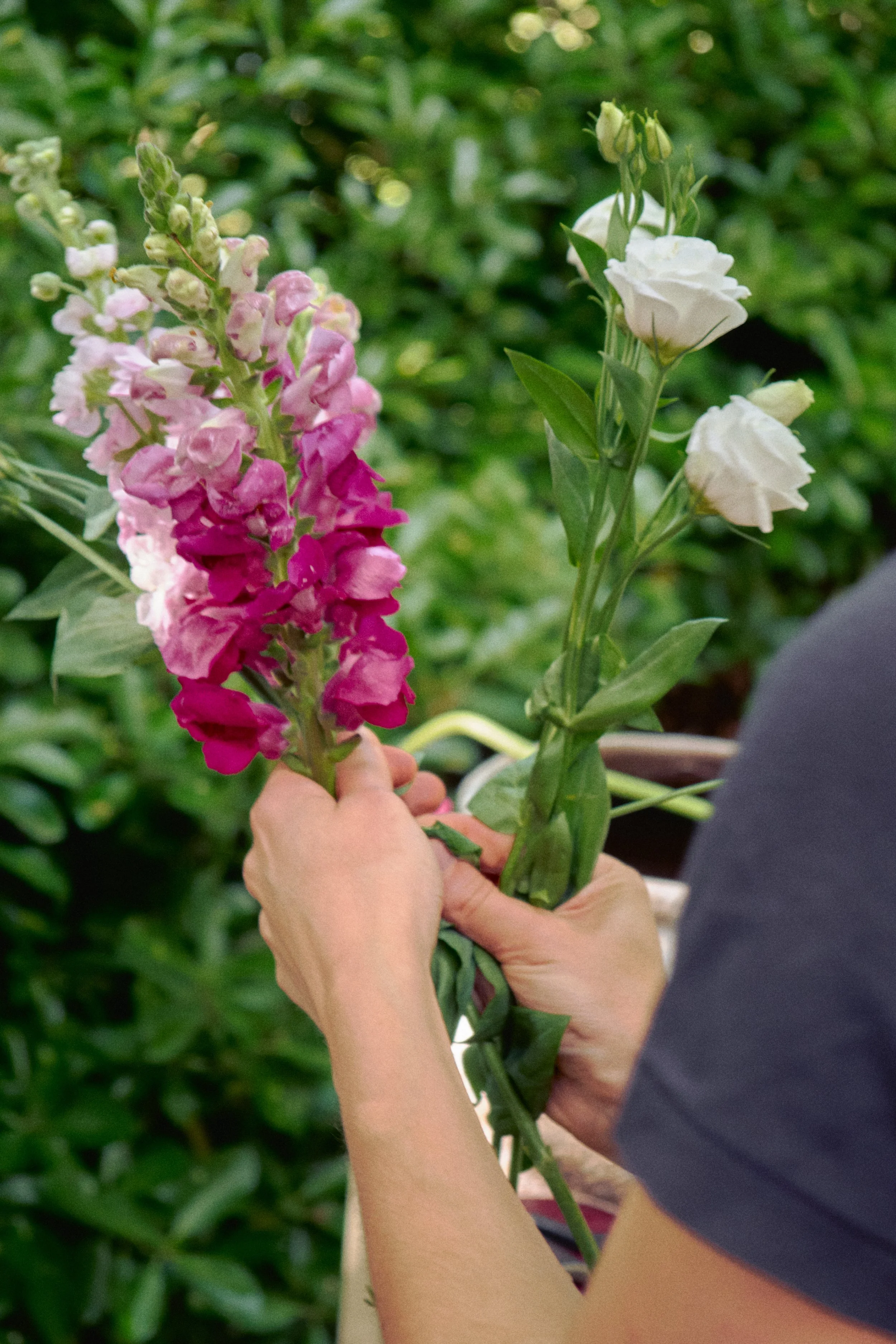Une personne tient un bouquet de fleurs avec des lys blancs et un lys violett. La personne a la peau claire et porte un vêtement gris. En arrière-plan, il y a un feuillage vert dense.