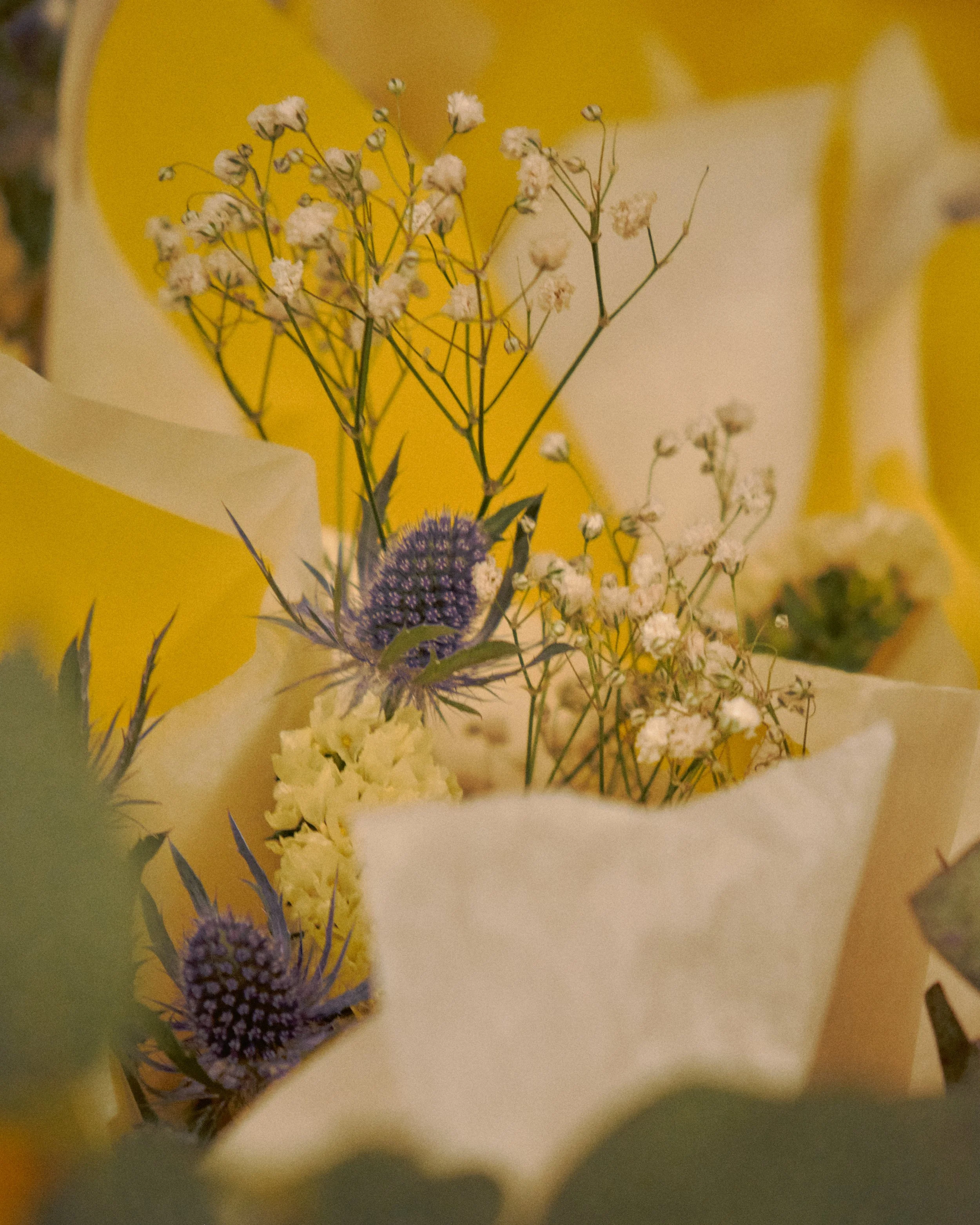 Bouquet de fleurs avec des chardons violets et petites fleurs blanches, entouré de papier de couleur jaune et blanche.