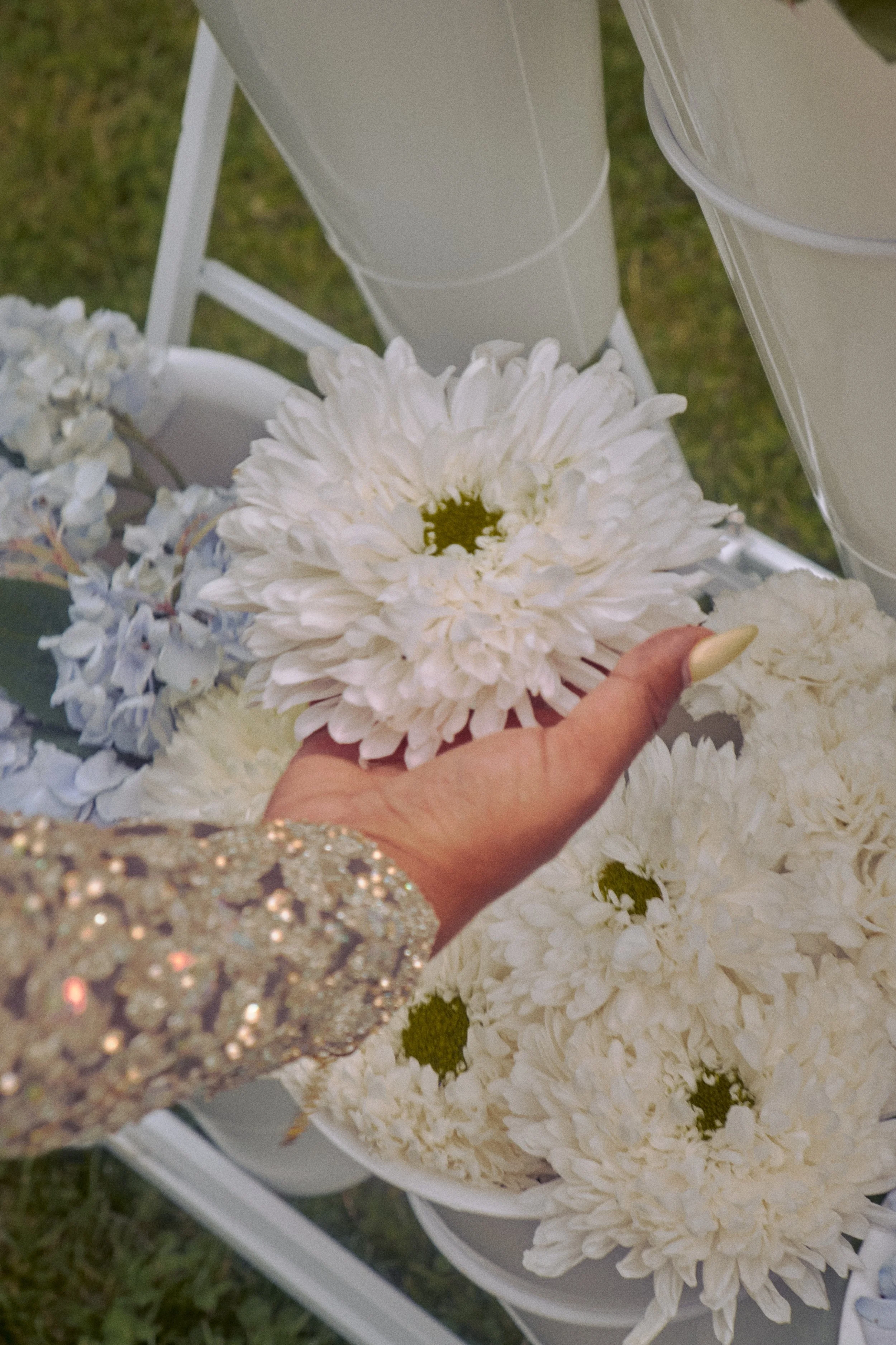 DSCF5651.jpg