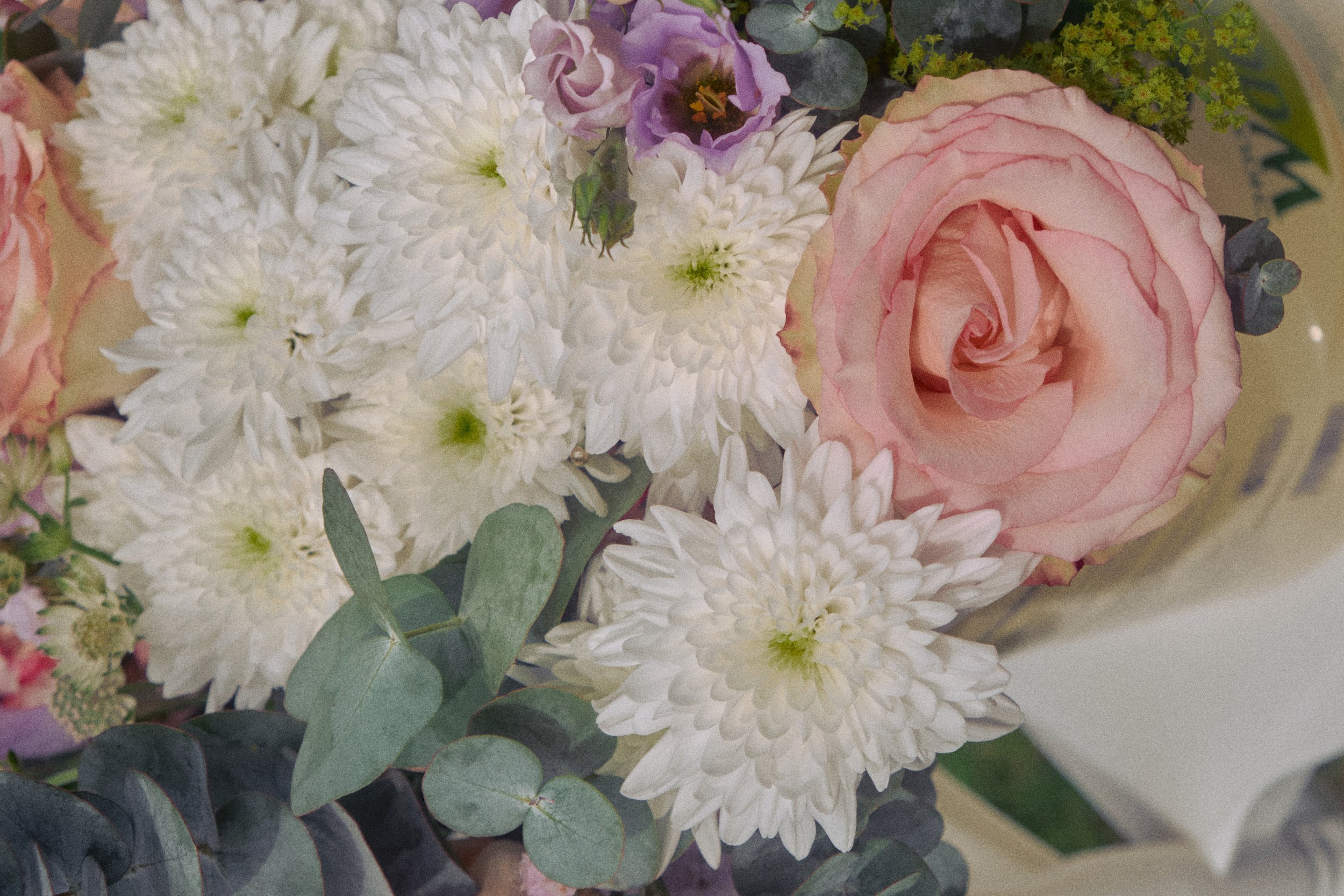 DSCF5523.jpg