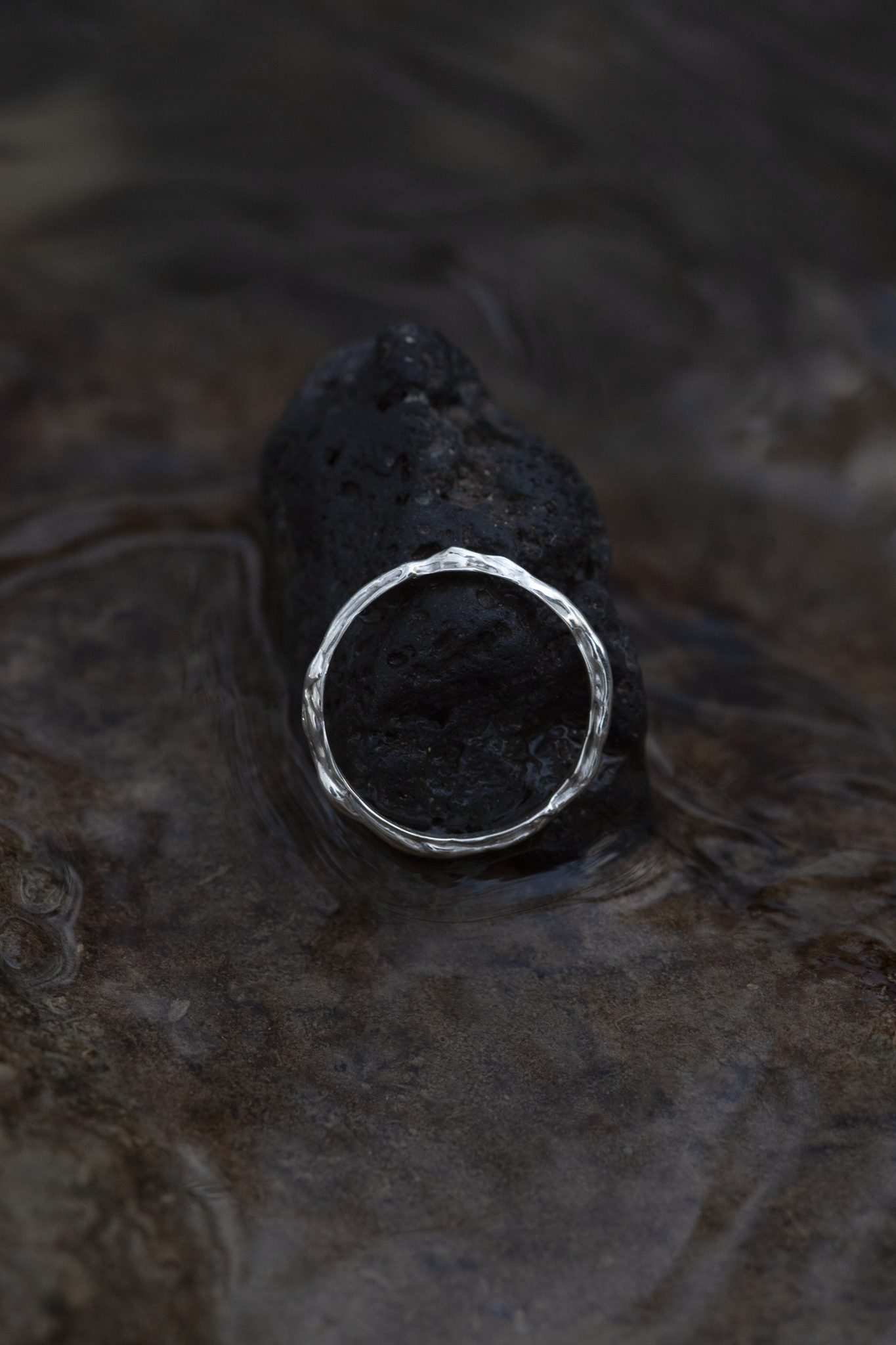 _MG_0655.png