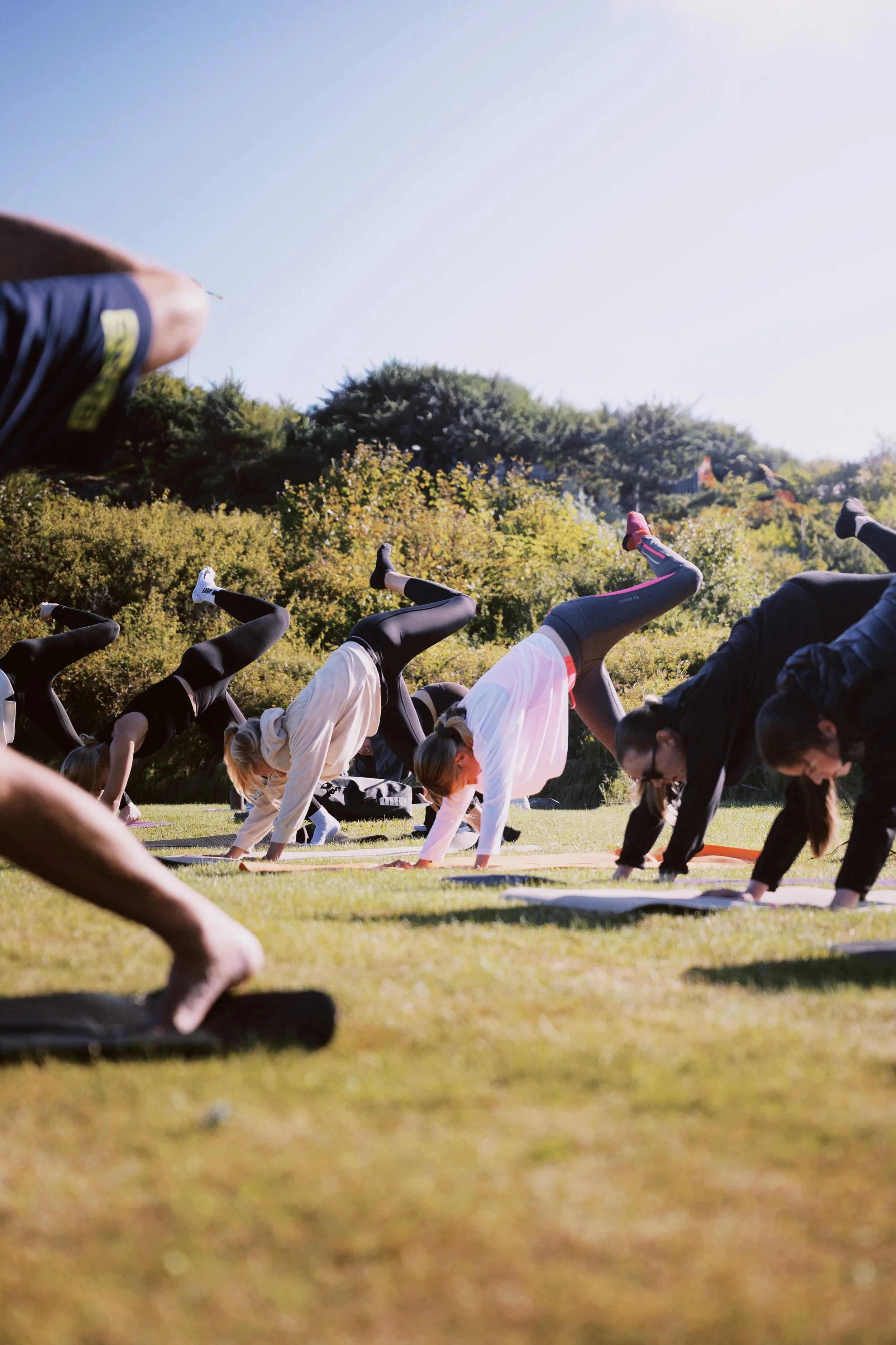People practicing pilates outdoors on a grassy field during daytime with sunlight, trees, and a clear sky in the background.