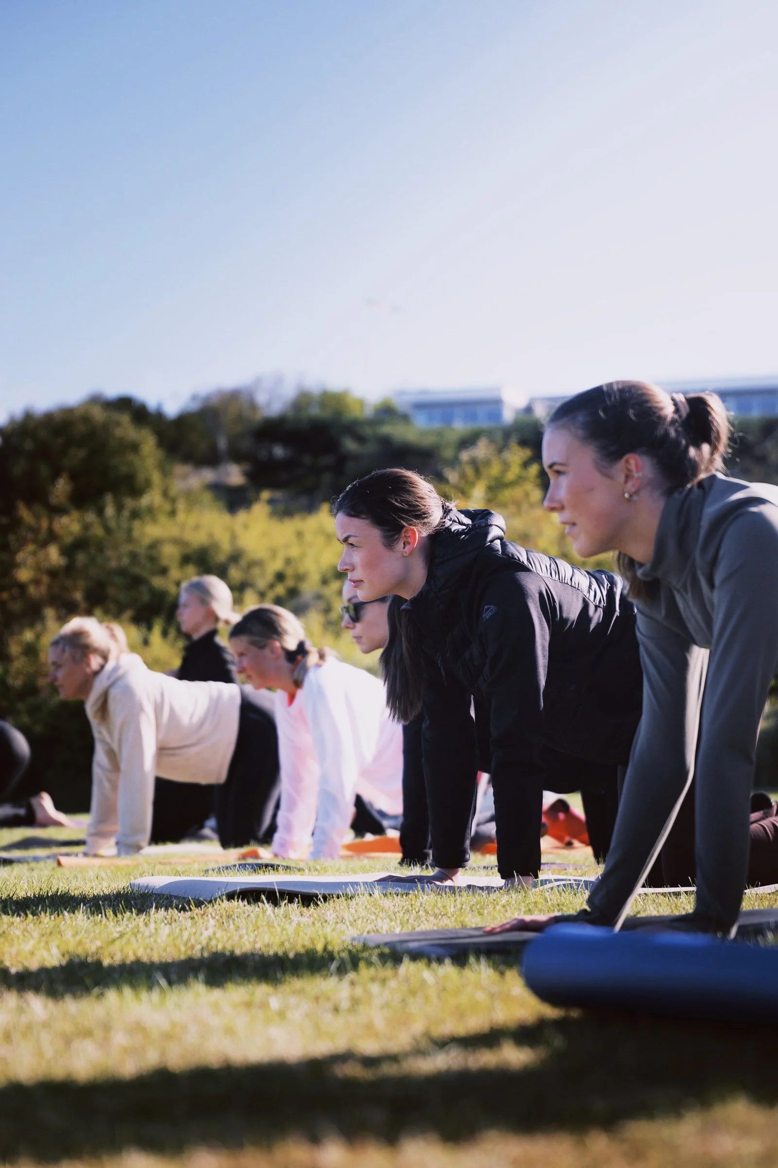 A group of people doing pilates outdoors on a grassy field with trees and a building in the background.